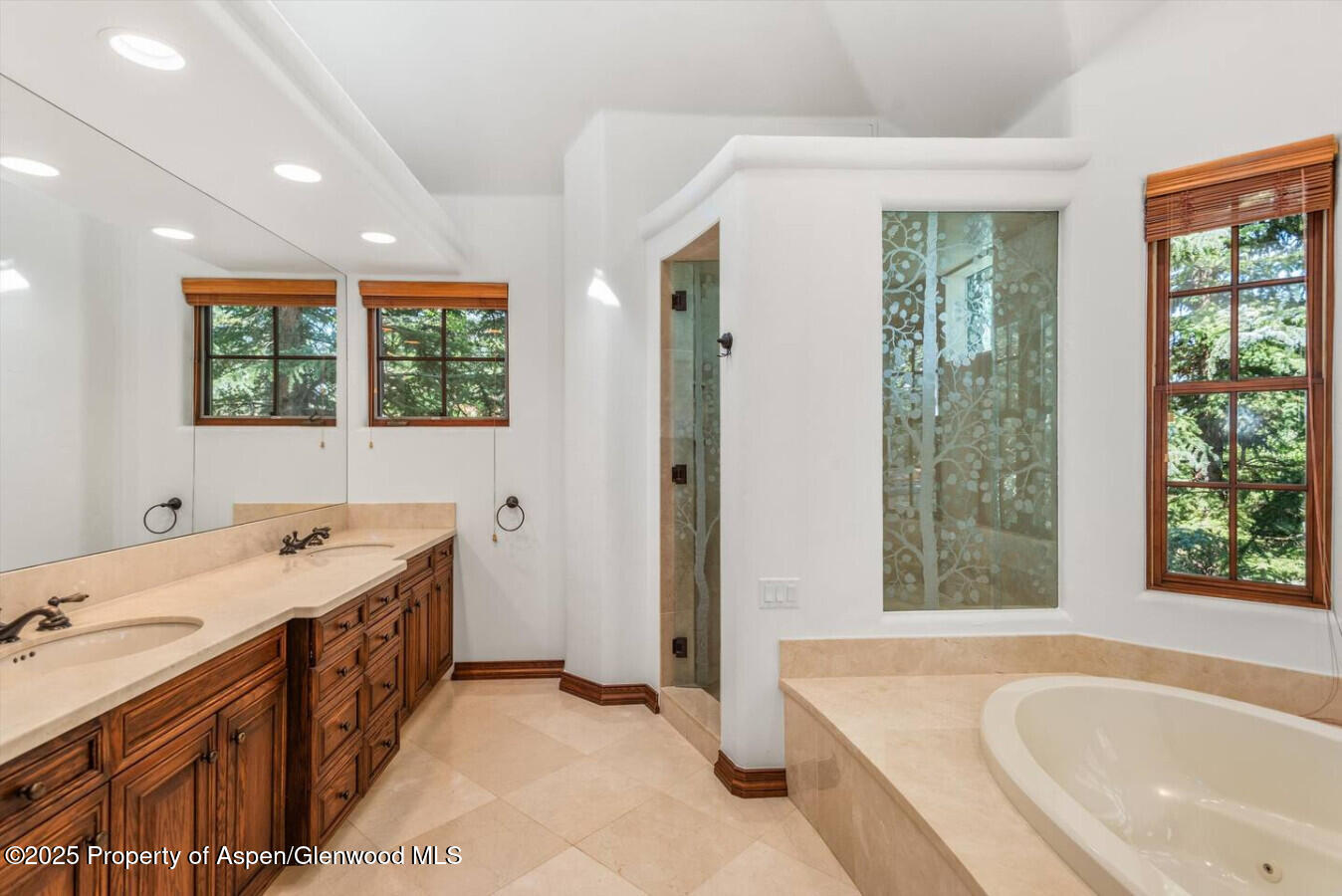 27 Timber Ridge Lane Lane Property Photo 30