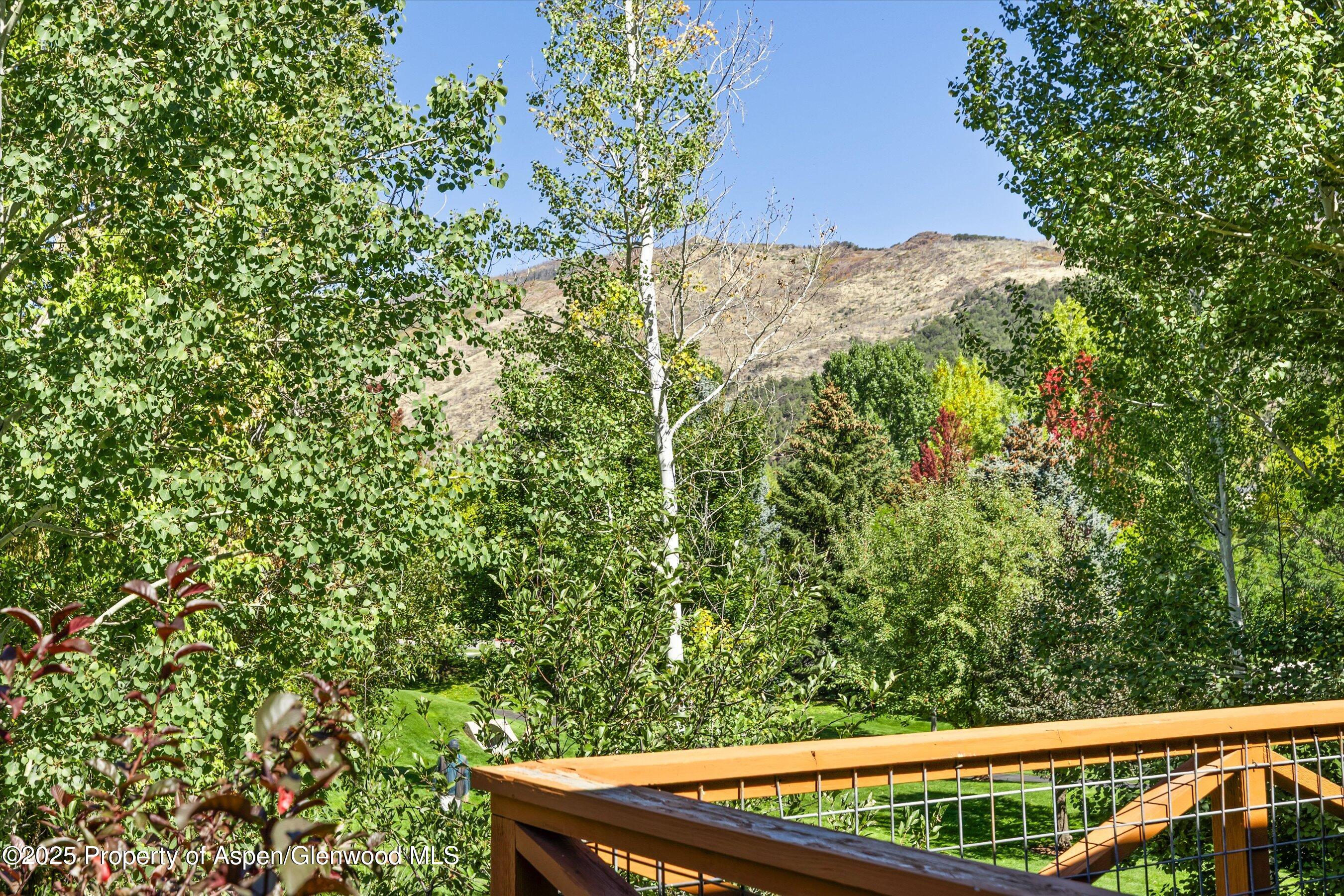 190313 Property Photo 9