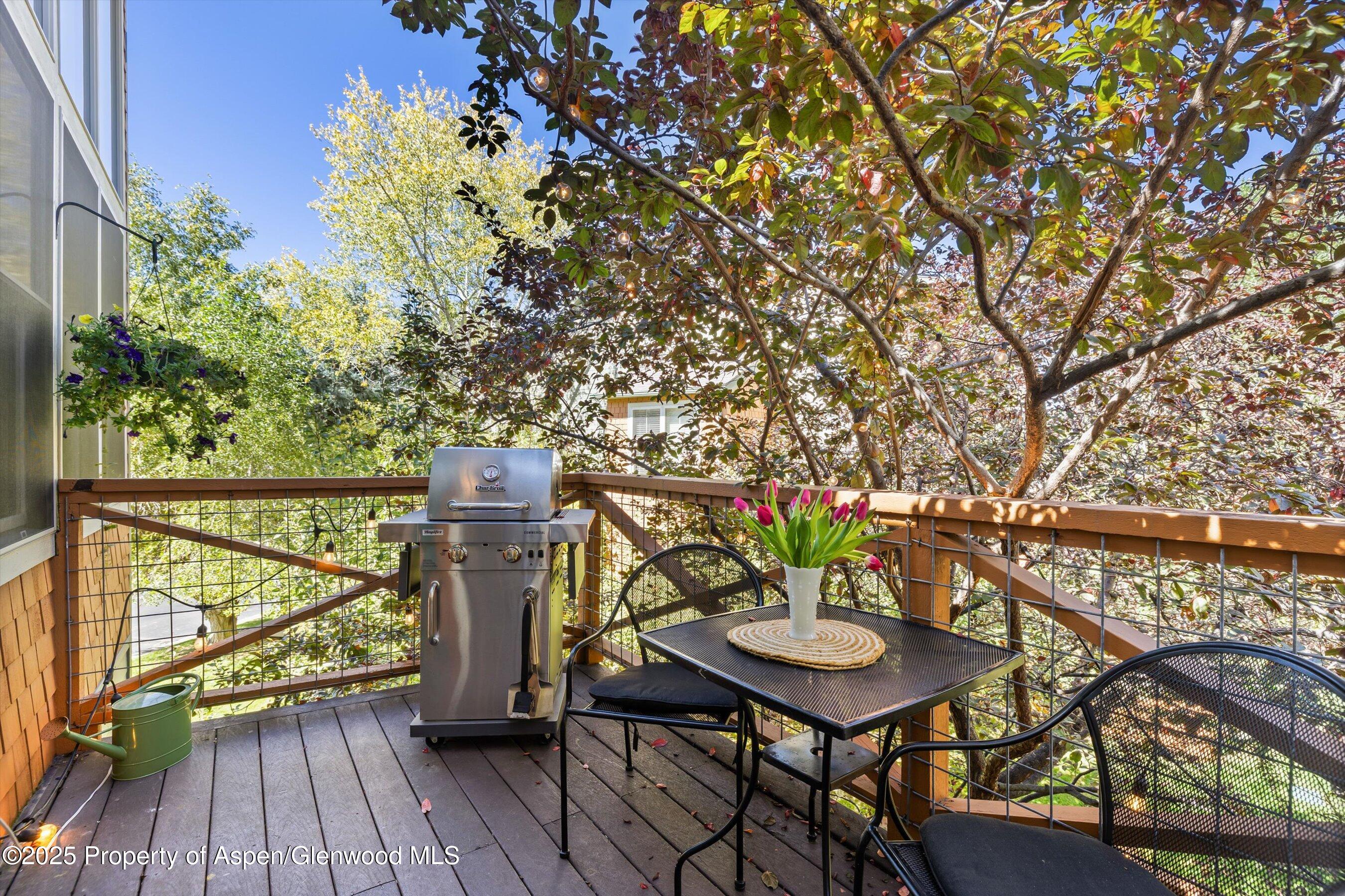 190313 Property Photo 11