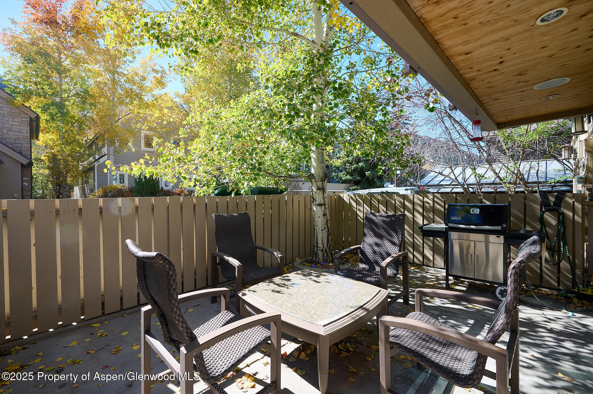 825 E Hopkins Avenue 2s Property Photo 18