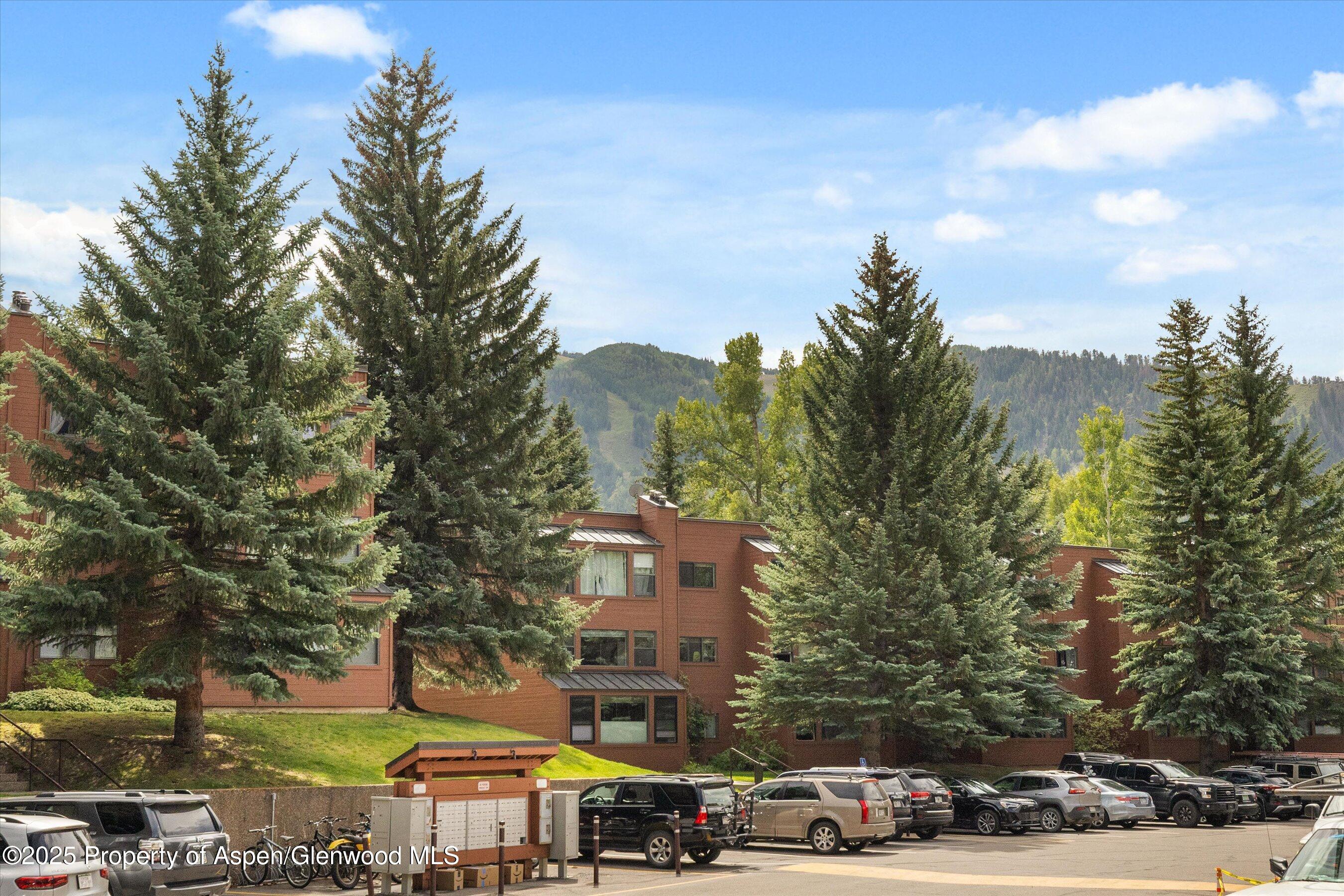 950 Vine Street Property Photo 21