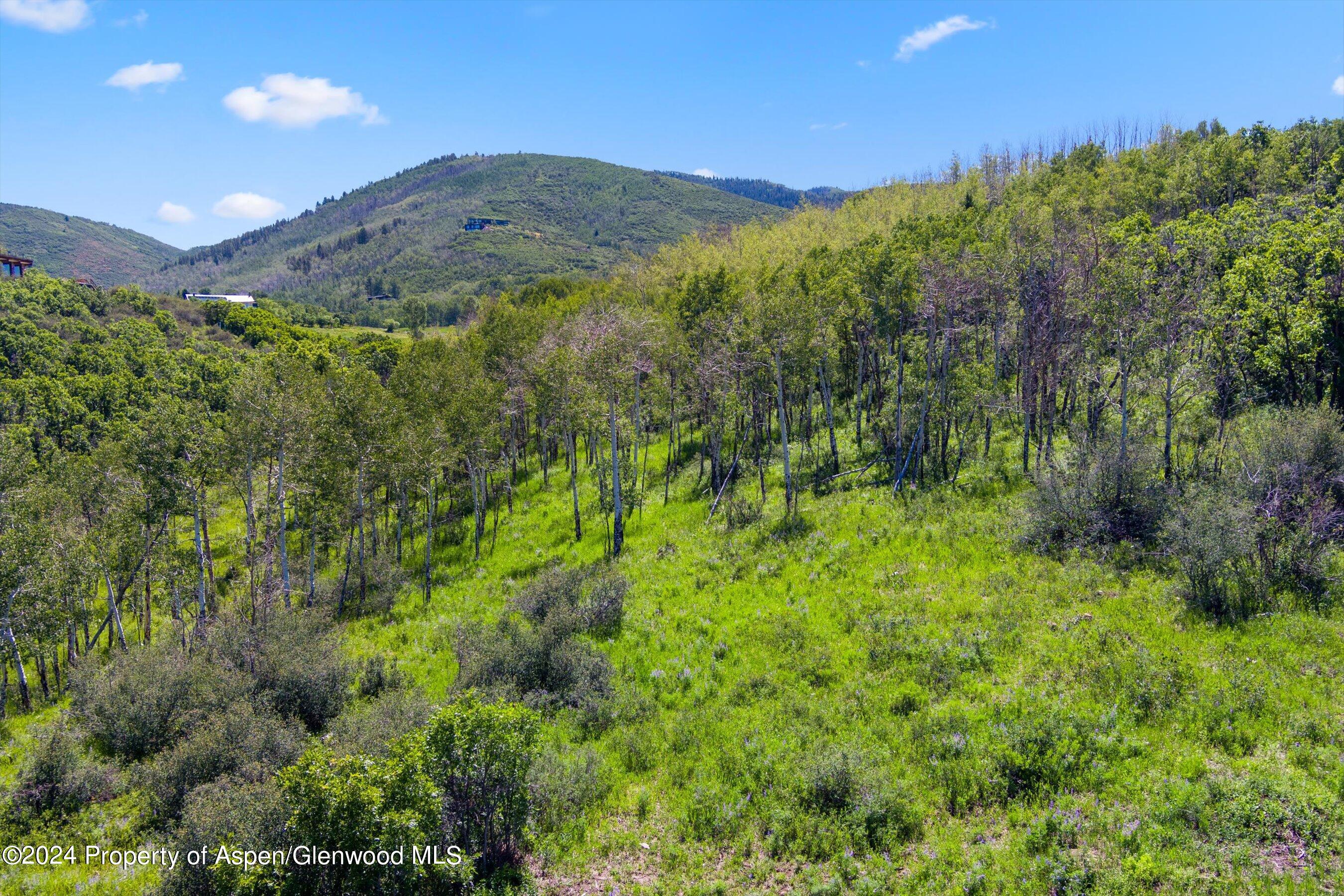 Tbd Trentaz Drive Property Photo 3