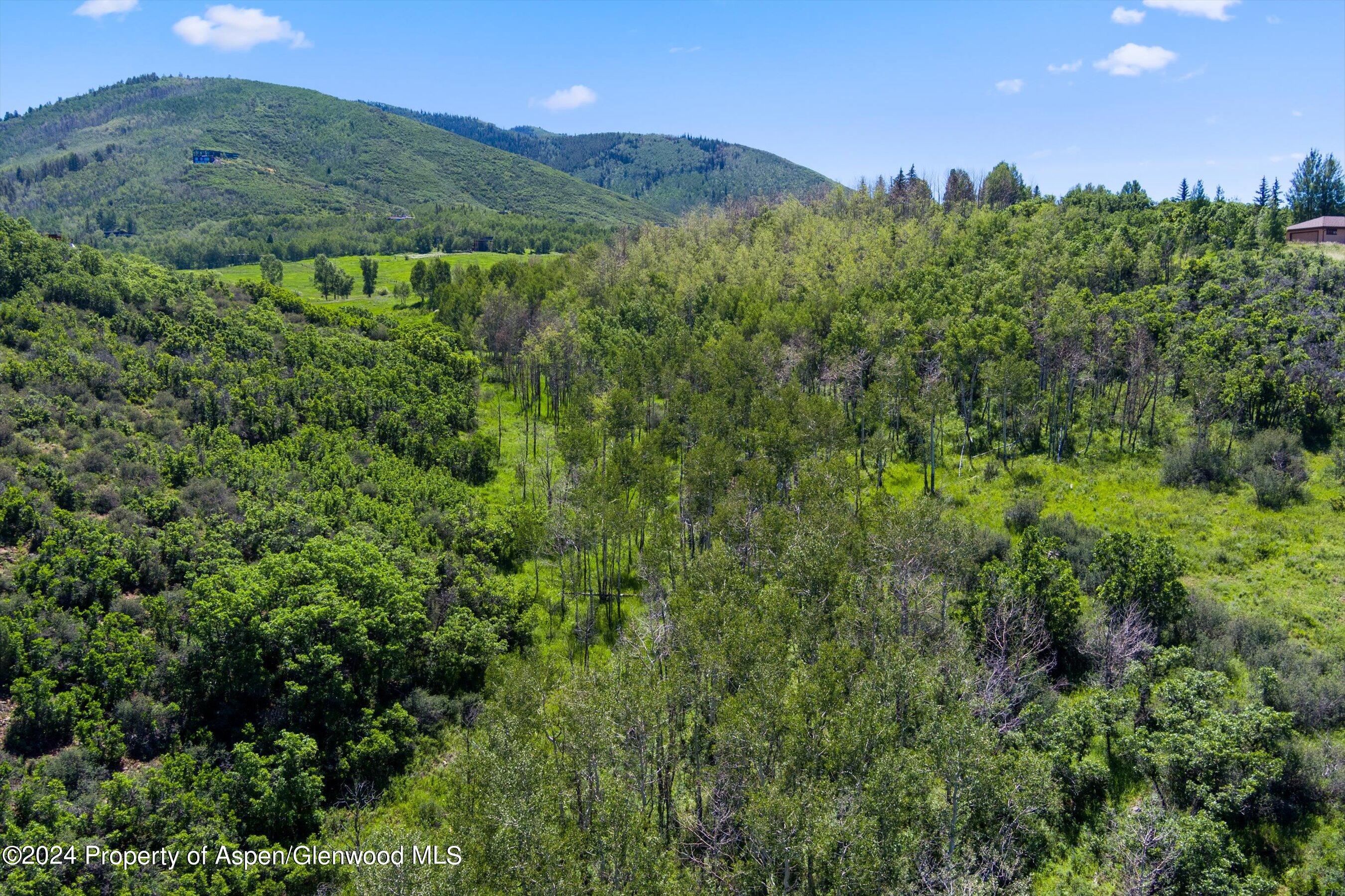 Tbd Trentaz Drive Property Photo 4