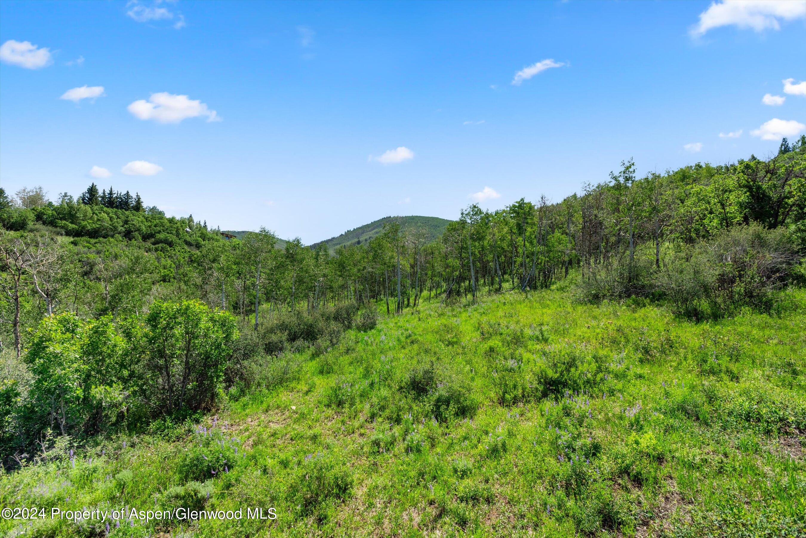 Tbd Trentaz Drive Property Photo 8