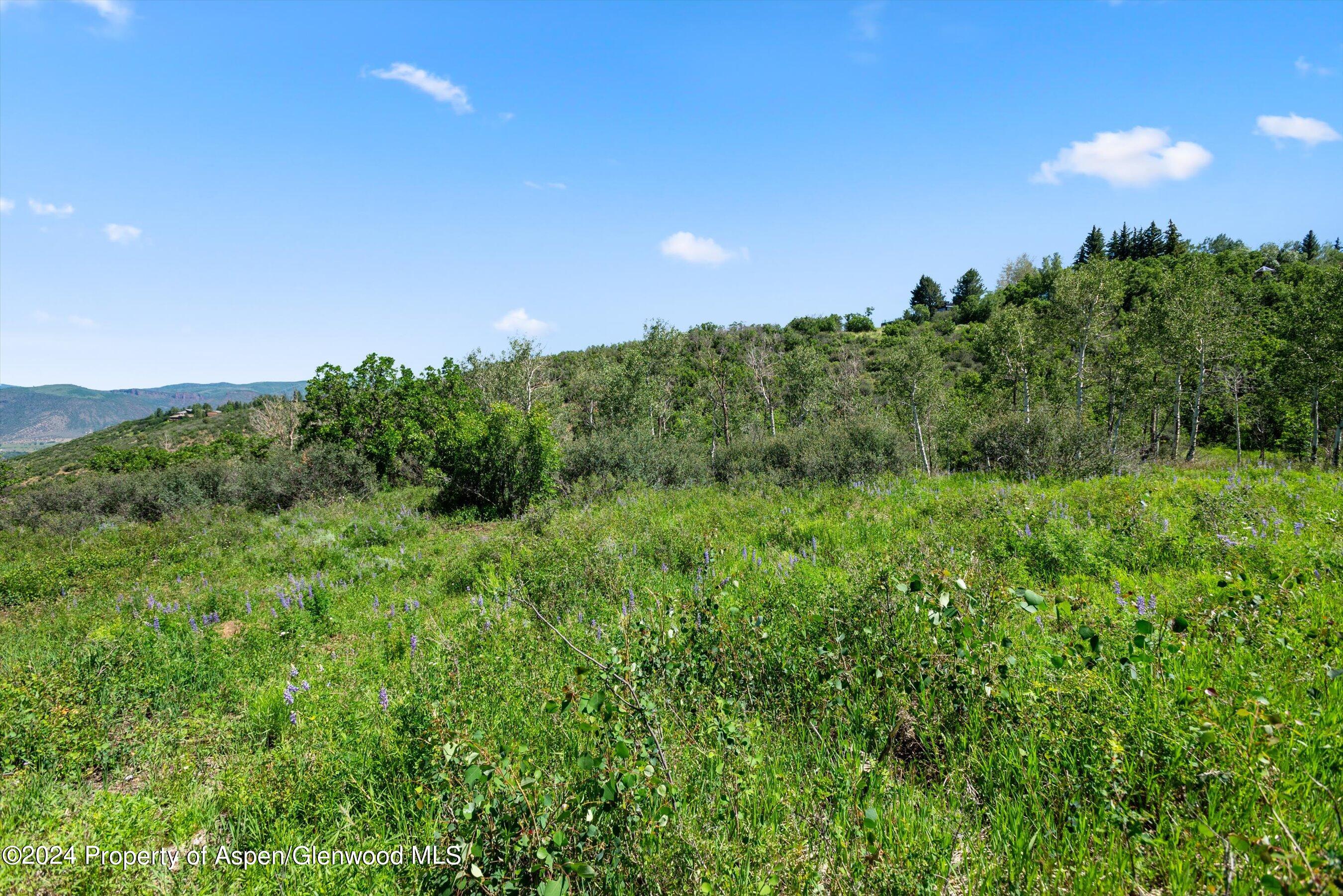 Tbd Trentaz Drive Property Photo 10
