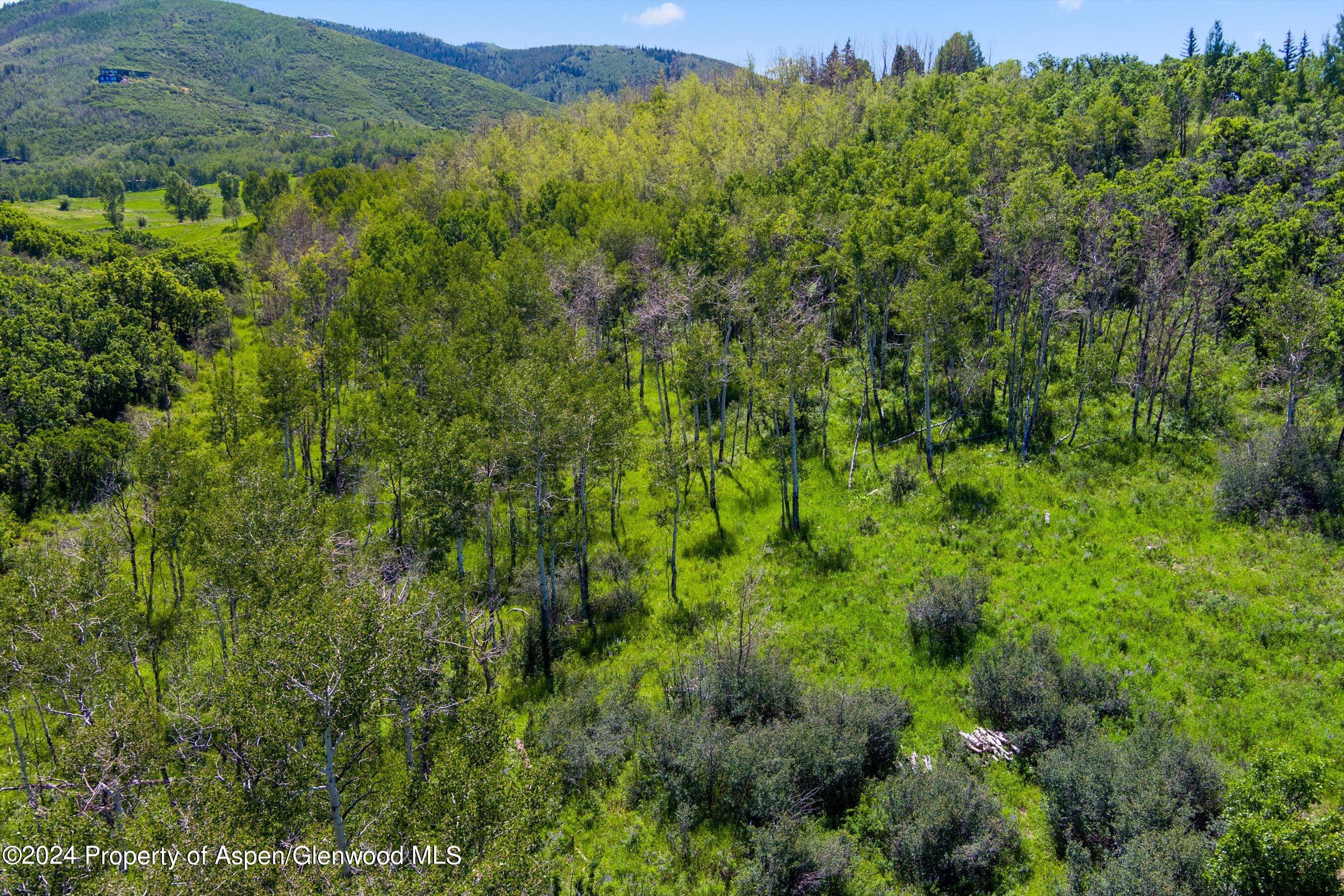 Tbd Trentaz Drive Property Photo 11