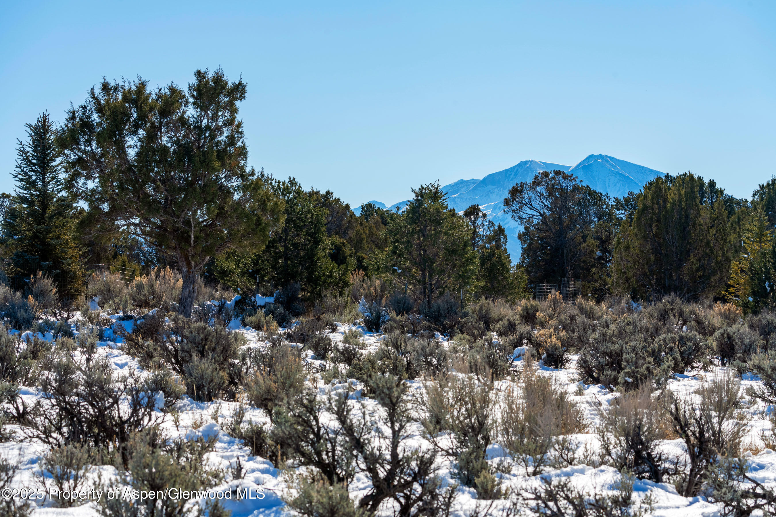 125 Primrose Point Property Photo 1