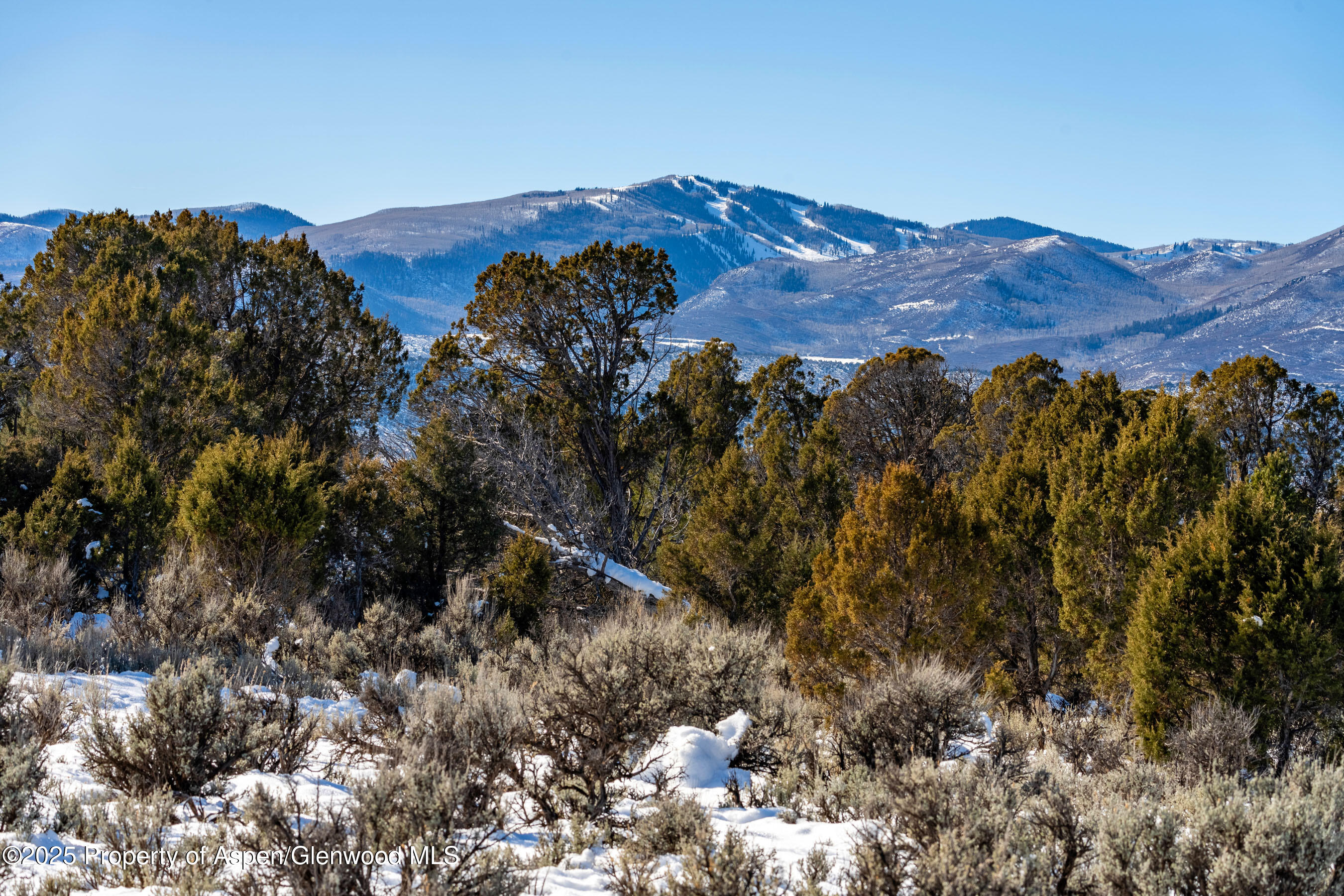 125 Primrose Point Property Photo 3