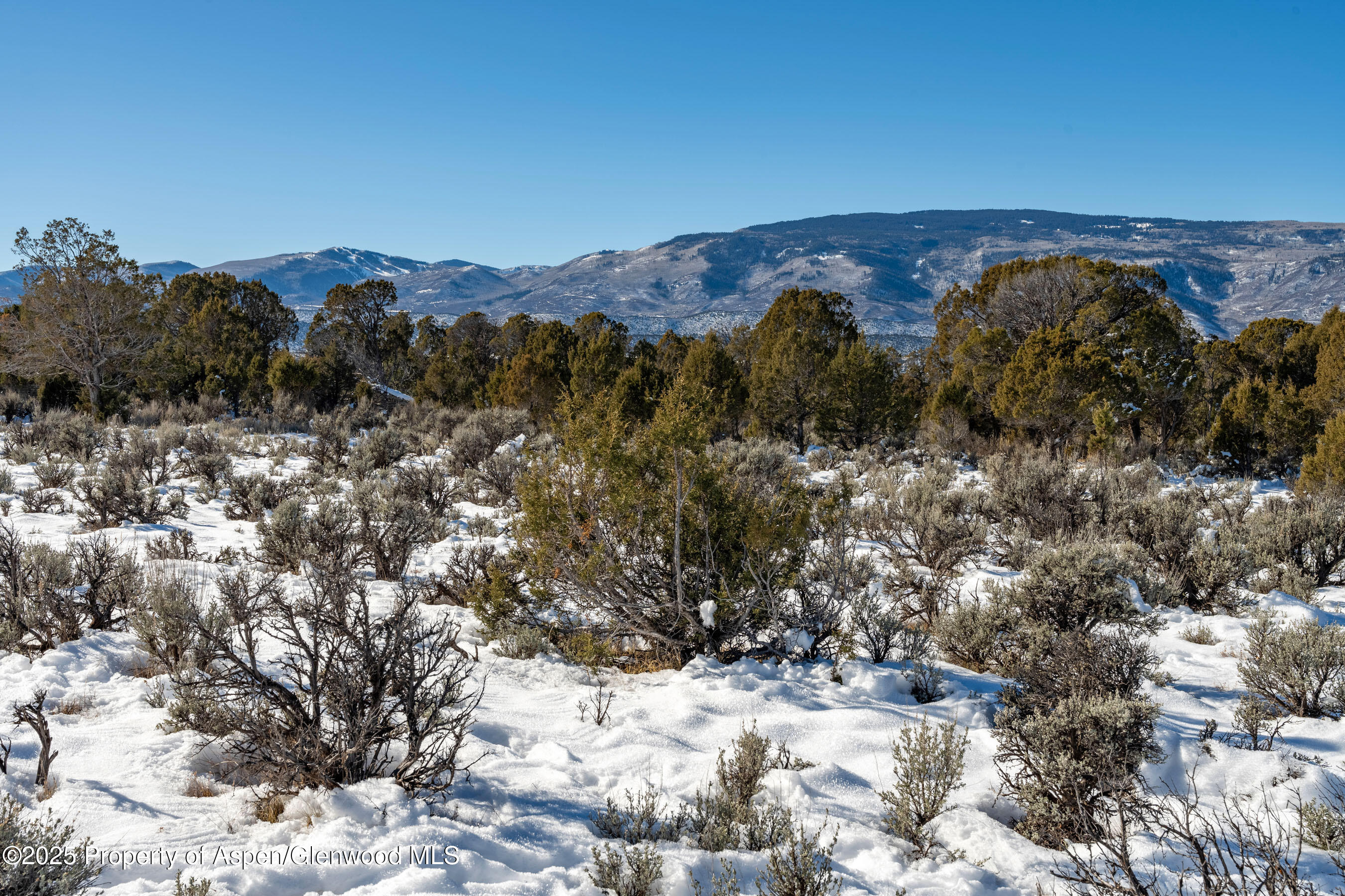 125 Primrose Point Property Photo 19