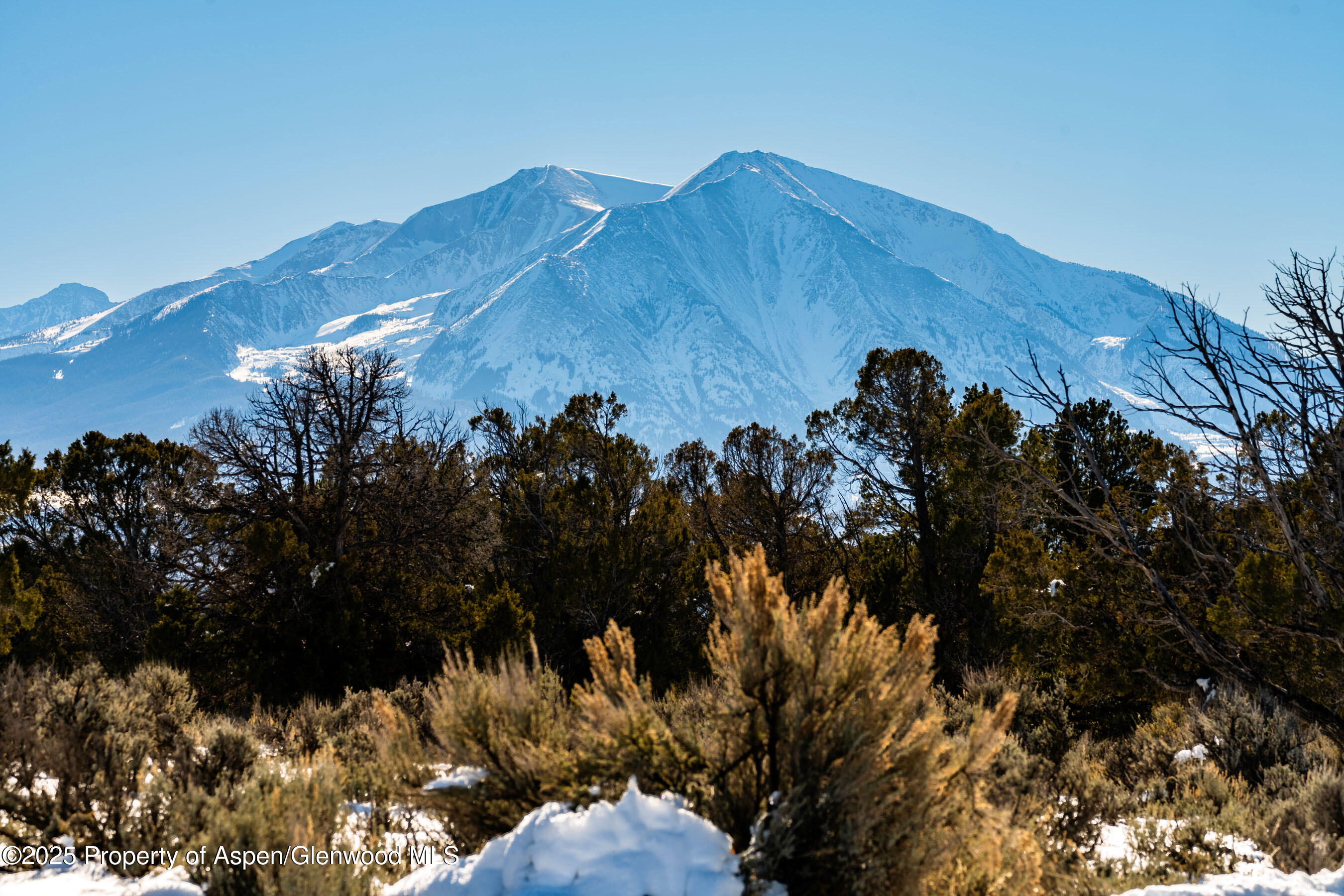 125 Primrose Point Property Photo 29