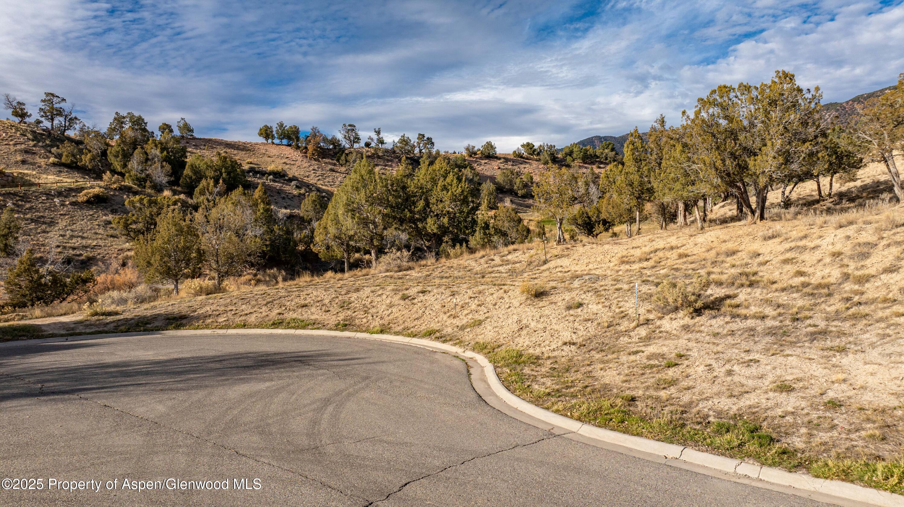 24 Mule Deer Court Property Photo 2