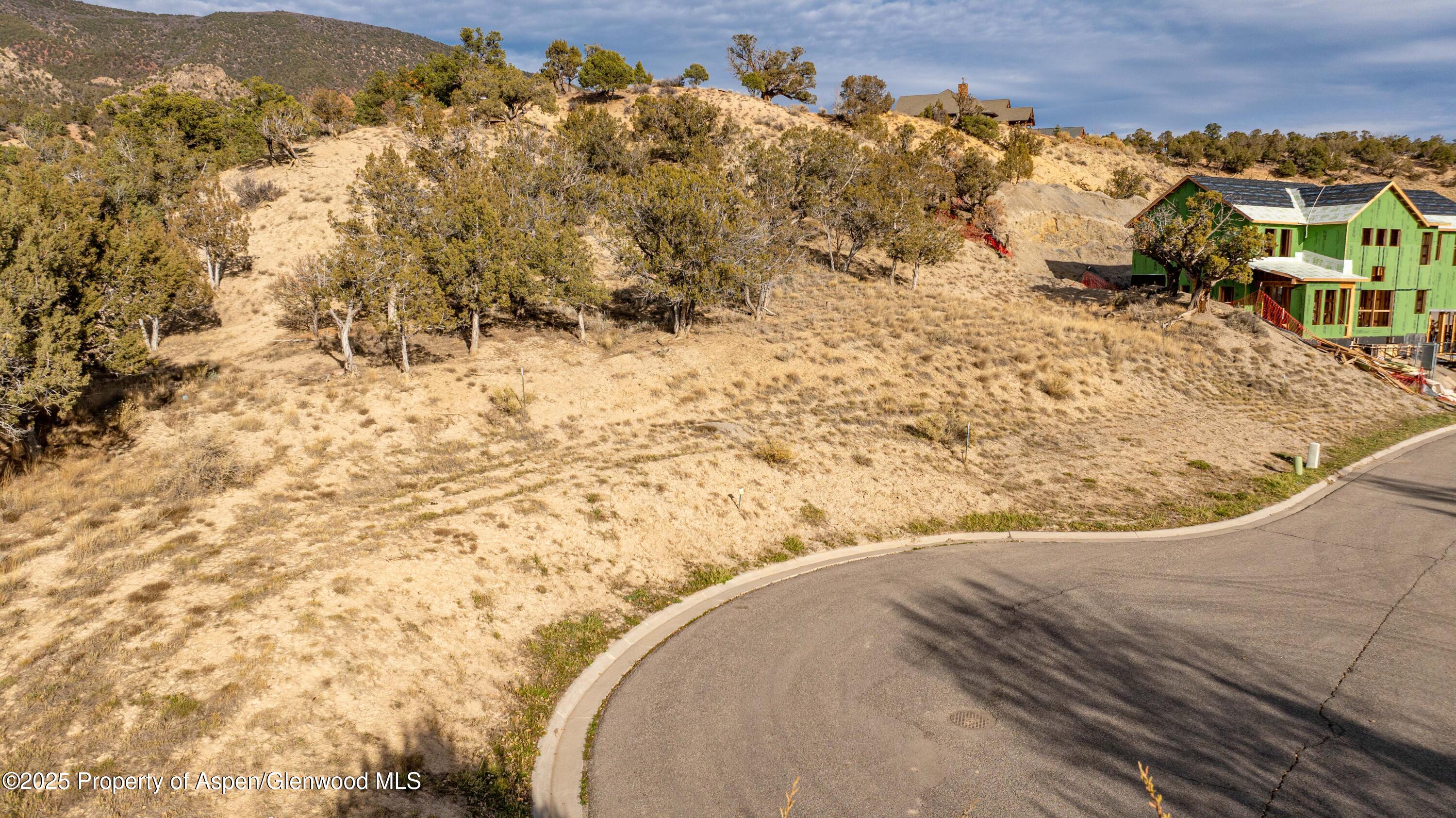24 Mule Deer Court Property Photo 7