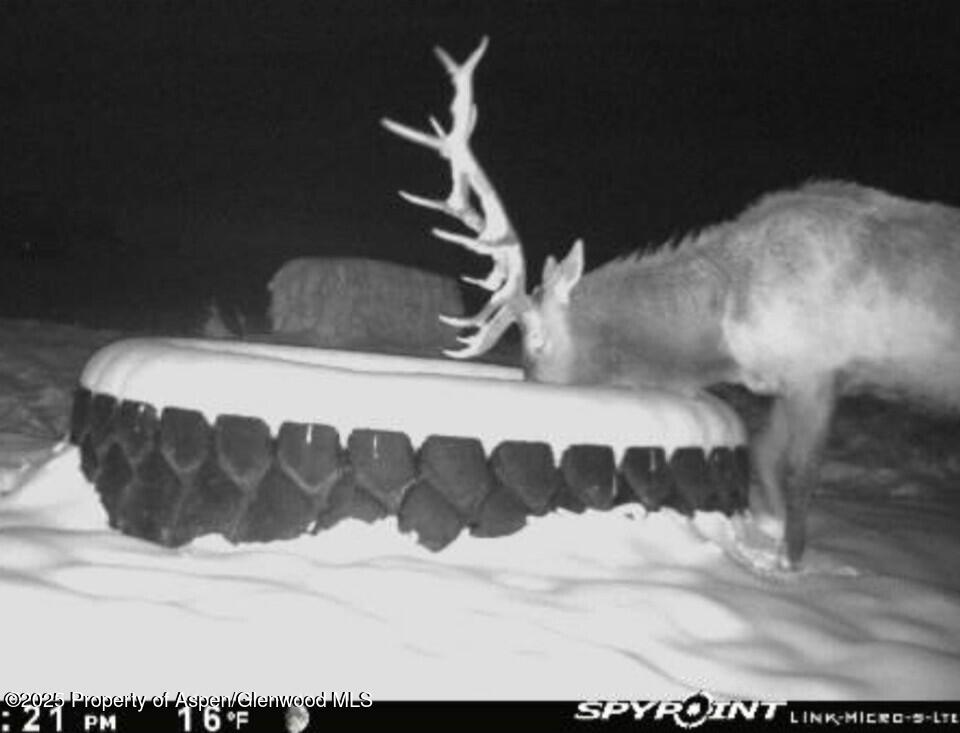18946 County Road 57 Property Photo 112