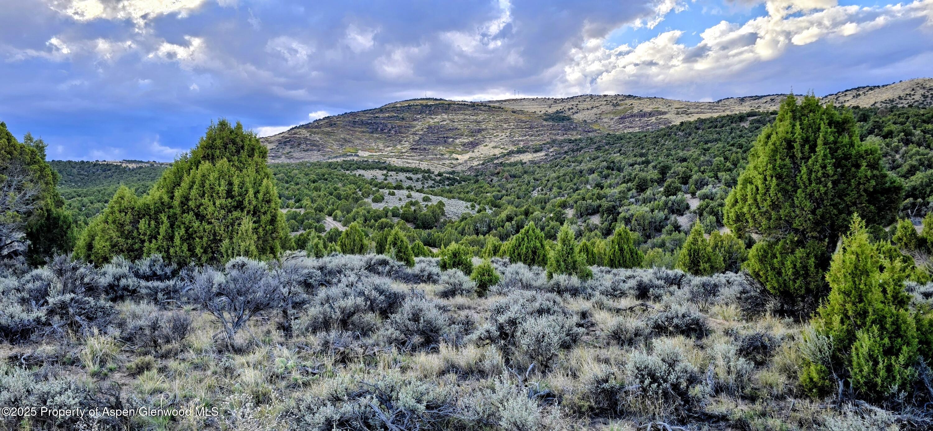 Tbd County Road 53 Property Photo 13