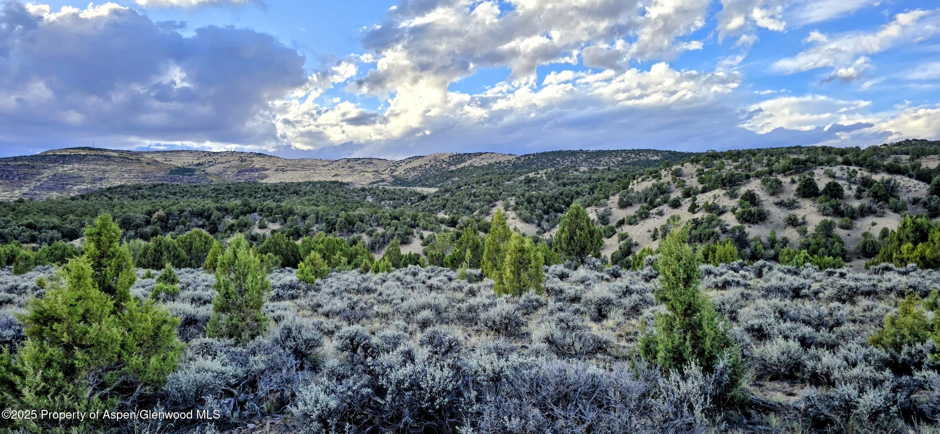 Tbd County Road 53 Property Photo 15