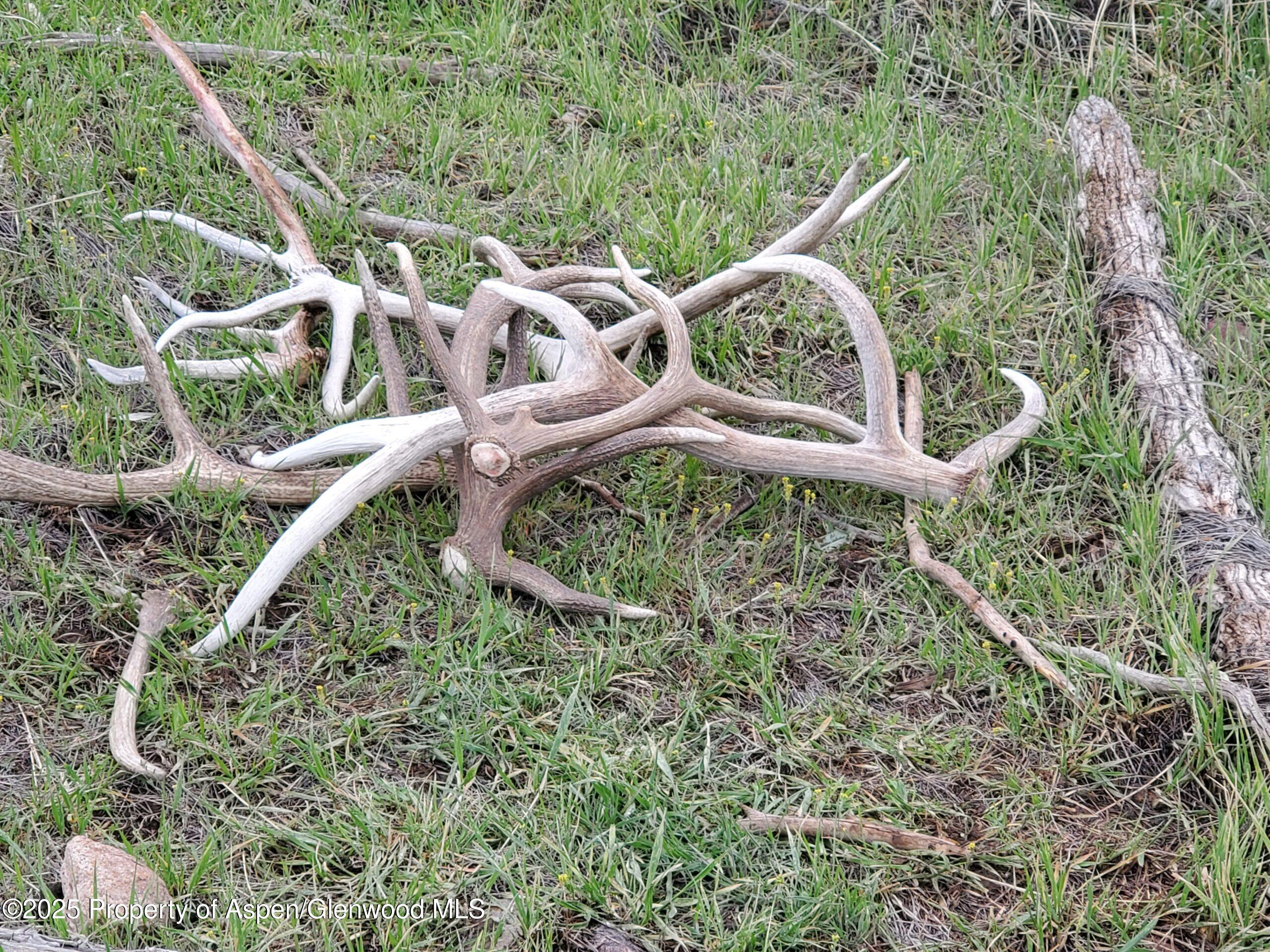 Tbd County Road 53 Property Photo 17