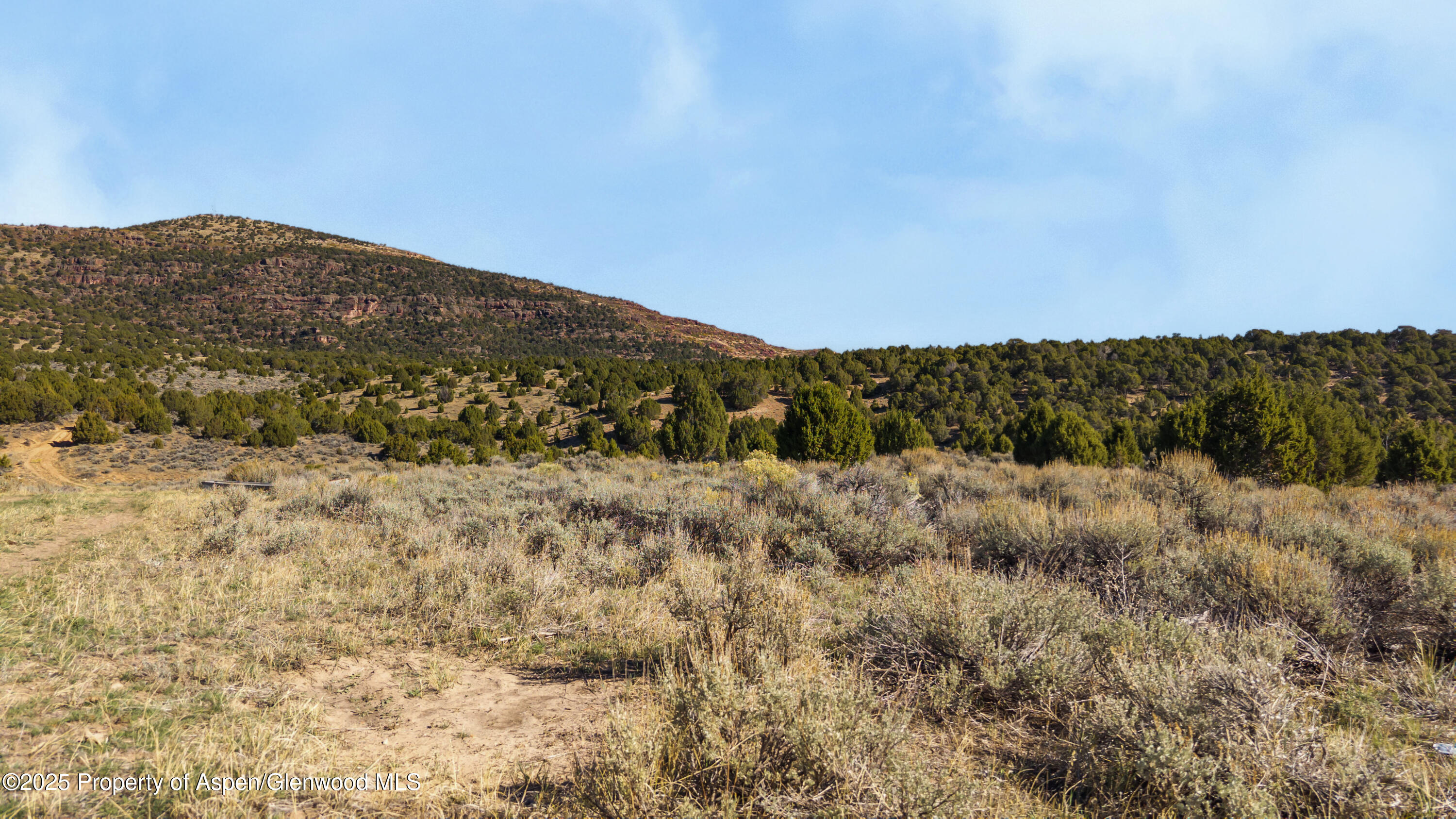 Tbd County Road 53 Property Photo 25