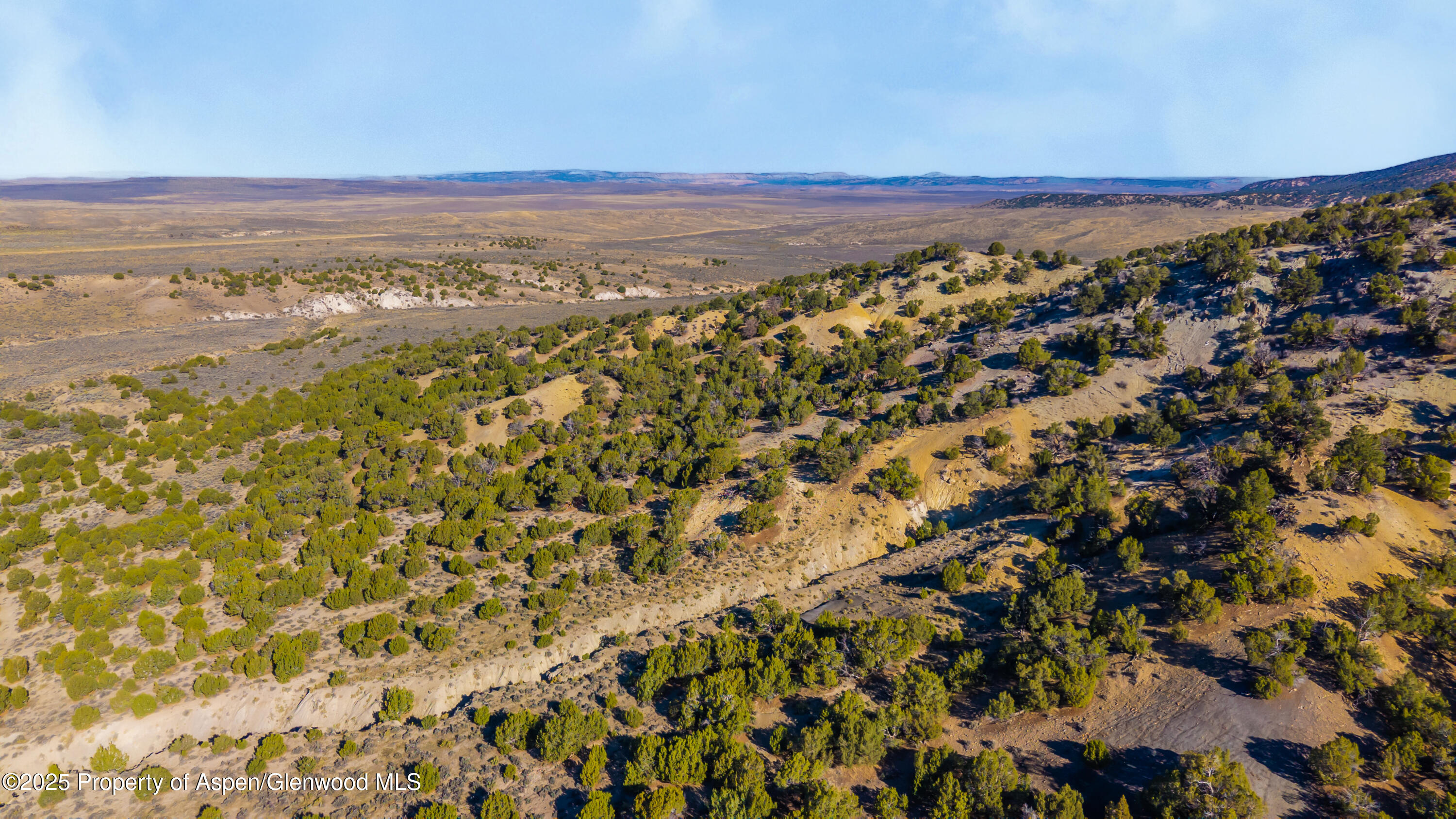 Tbd County Road 53 Property Photo 34