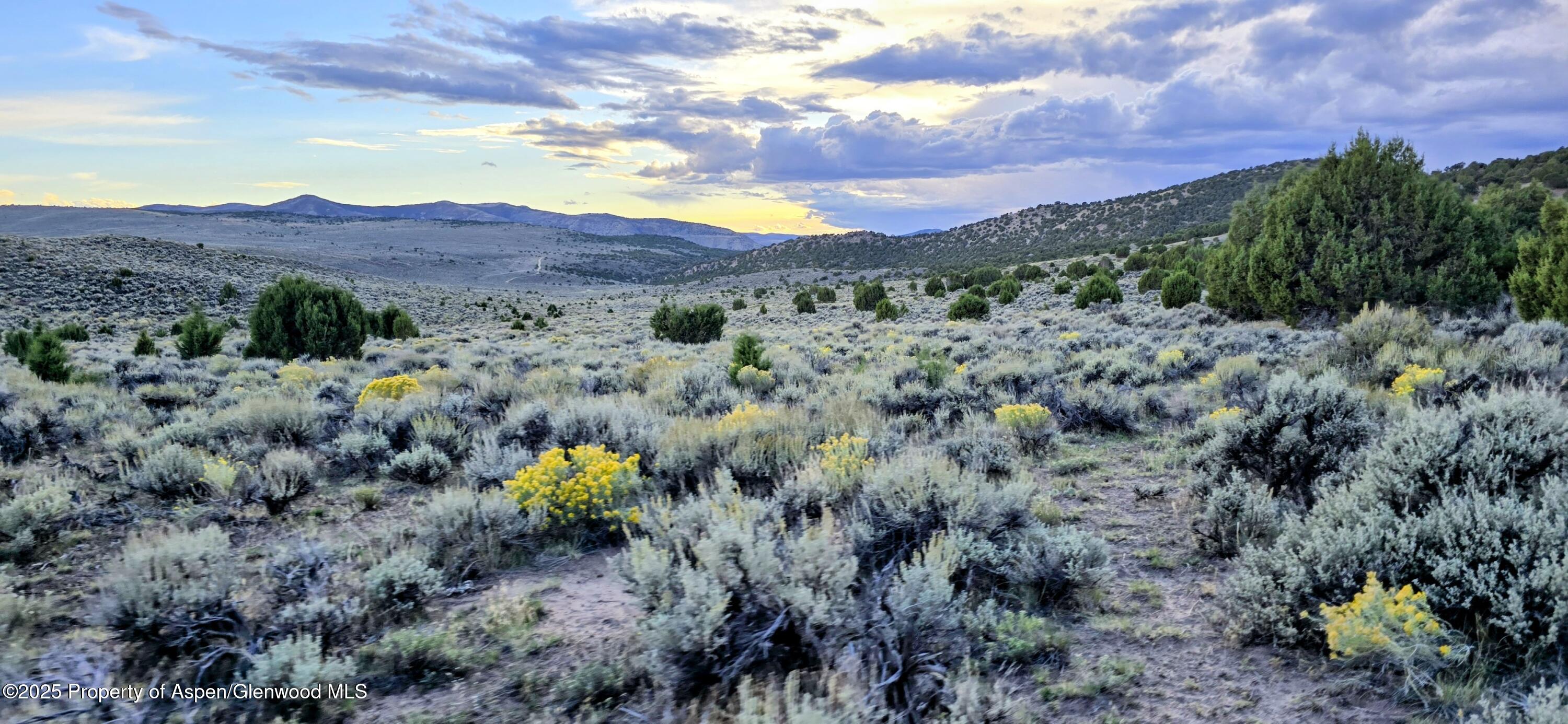 Tbd County Road 53 Property Photo 35