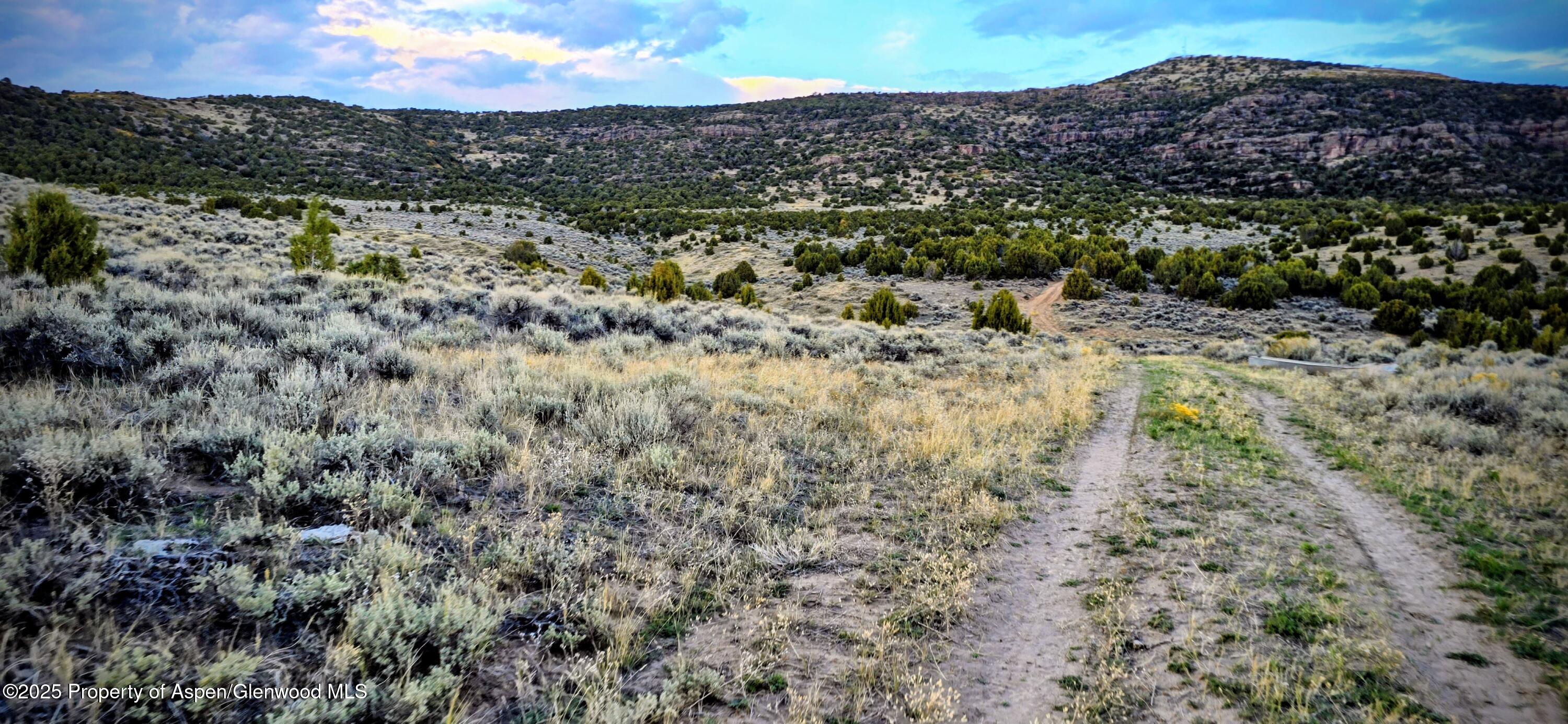 Tbd County Road 53 Property Photo 63