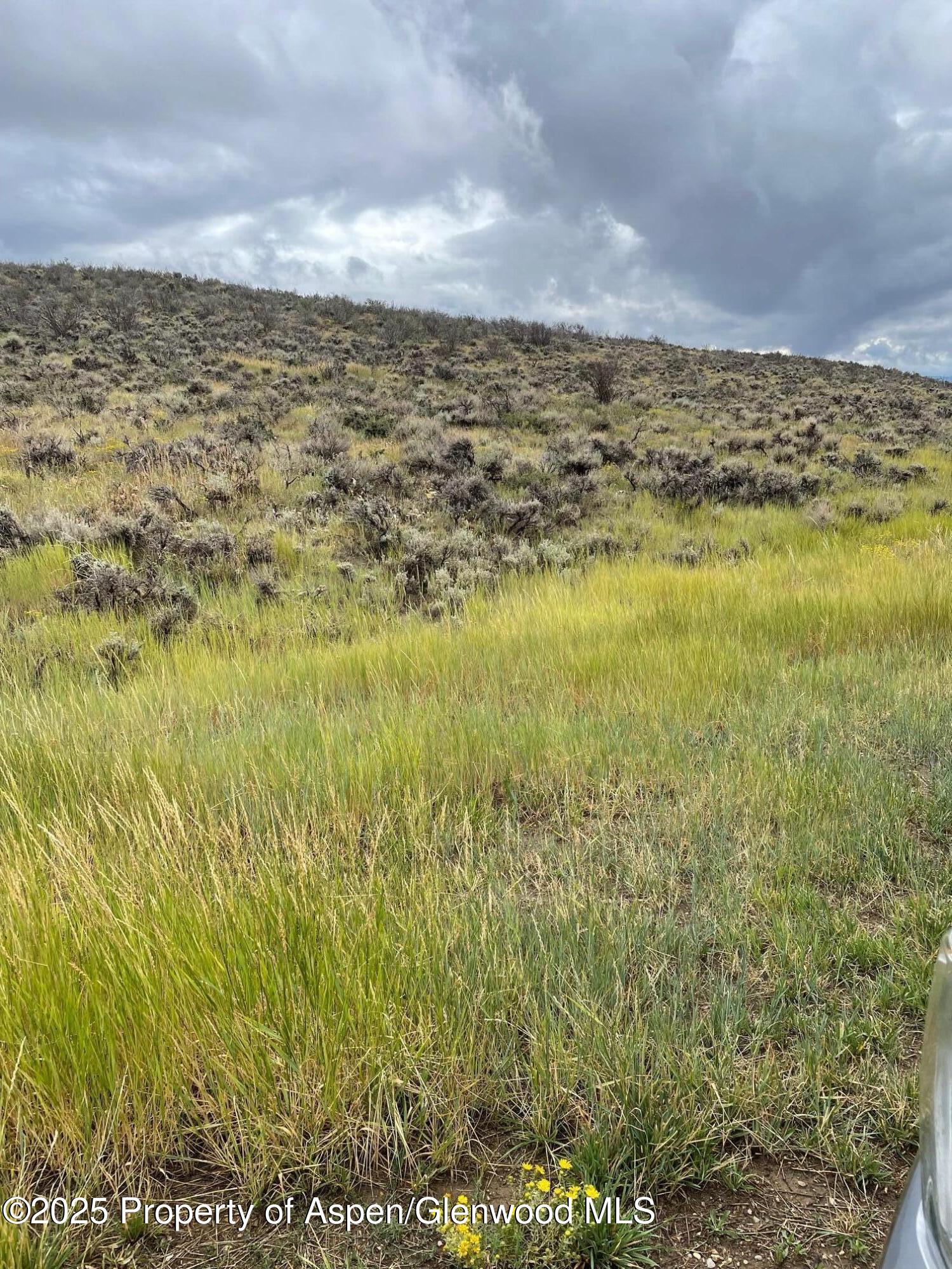 Tbd Pine Ridge Trail Property Photo 5