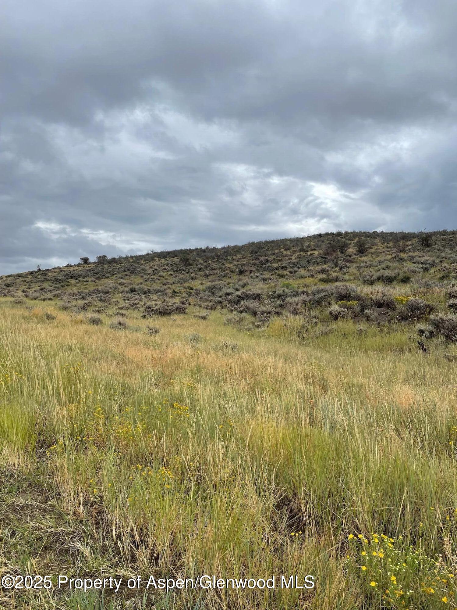 Tbd Pine Ridge Trail Property Photo 6