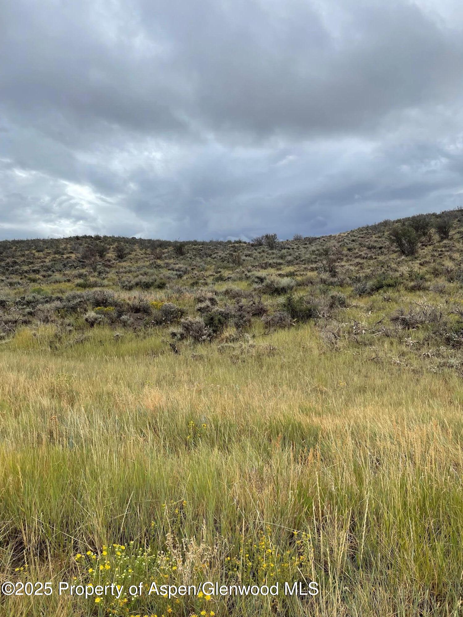 Tbd Pine Ridge Trail Property Photo 7