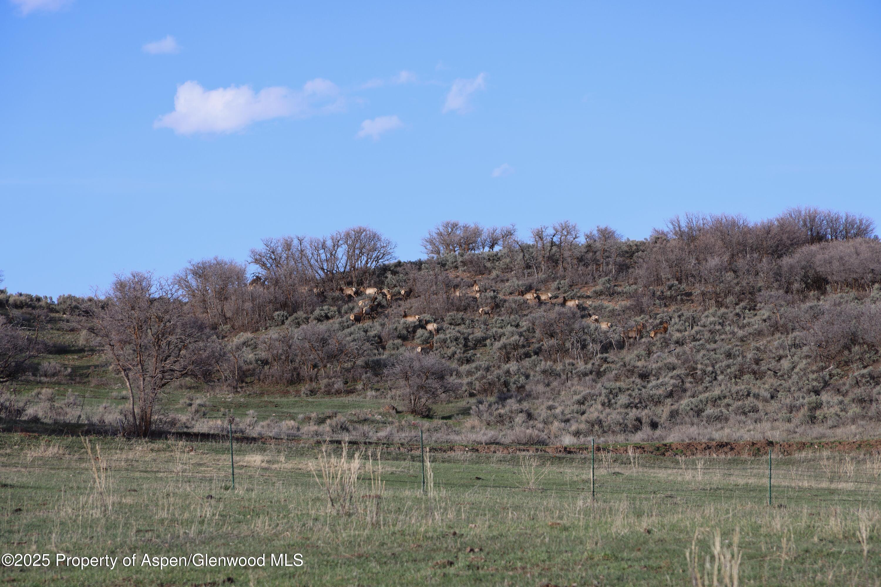 Tbd County Road 100 Property Photo 16