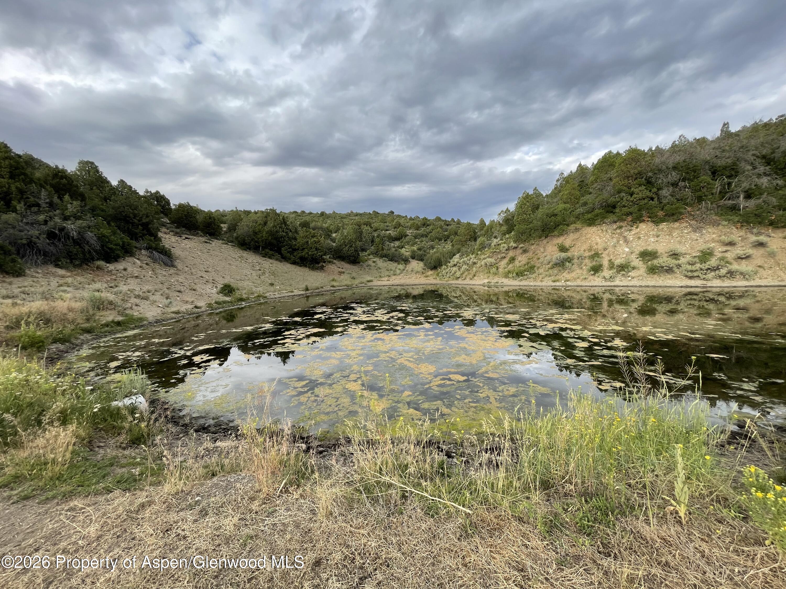 65061 Highway 64 Property Photo 35