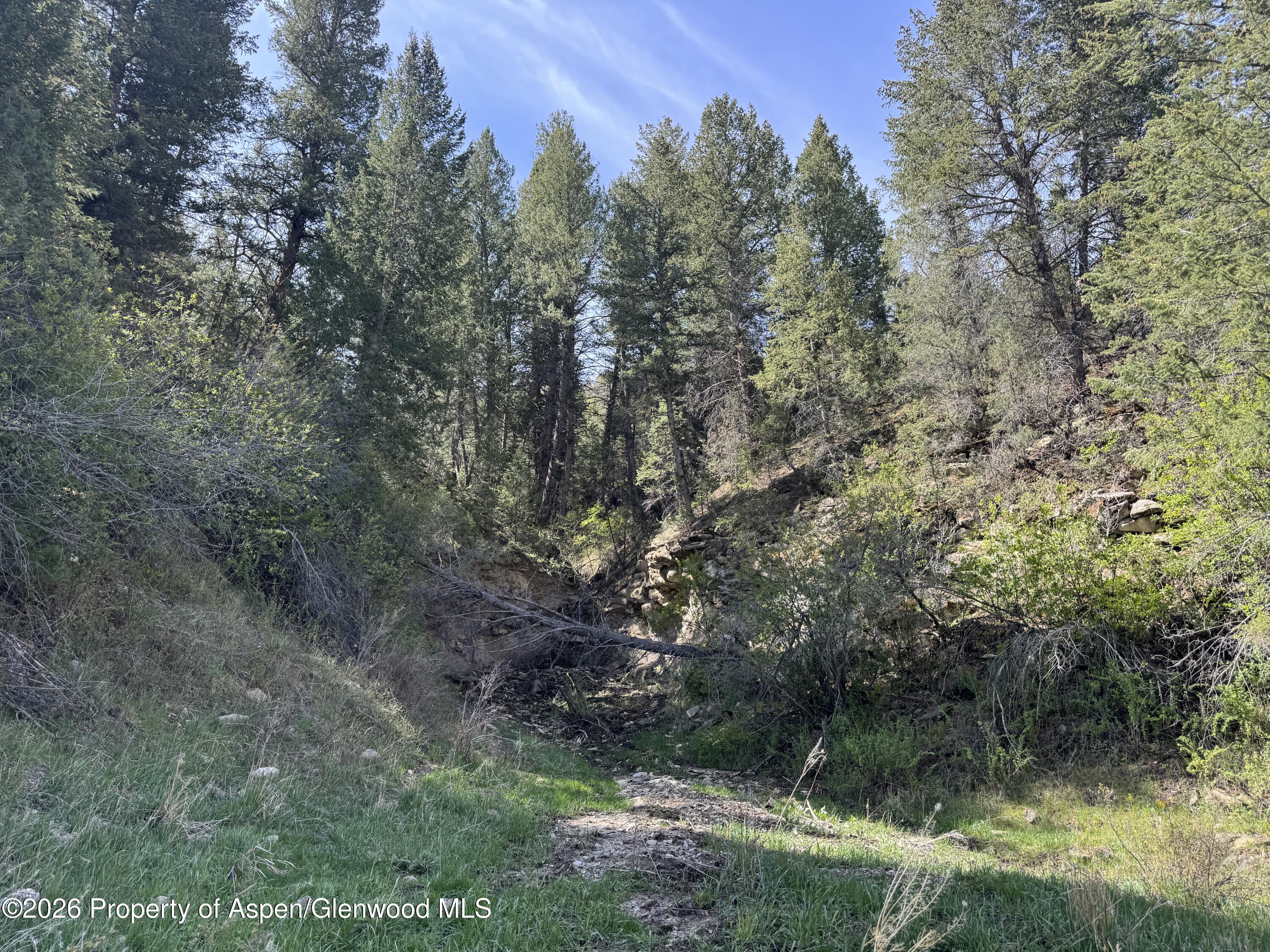 65061 Highway 64 Property Photo 42