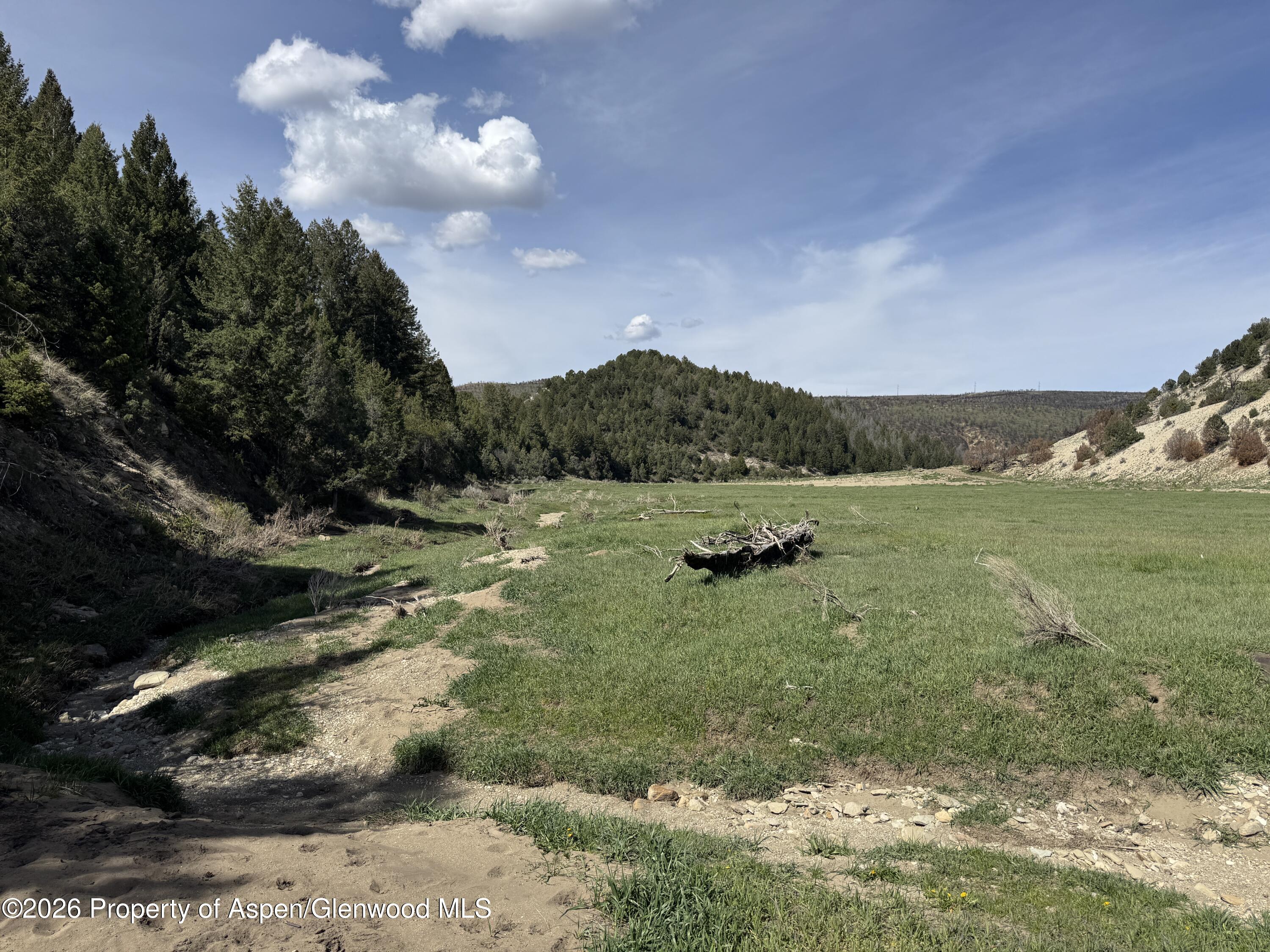 65061 Highway 64 Property Photo 43