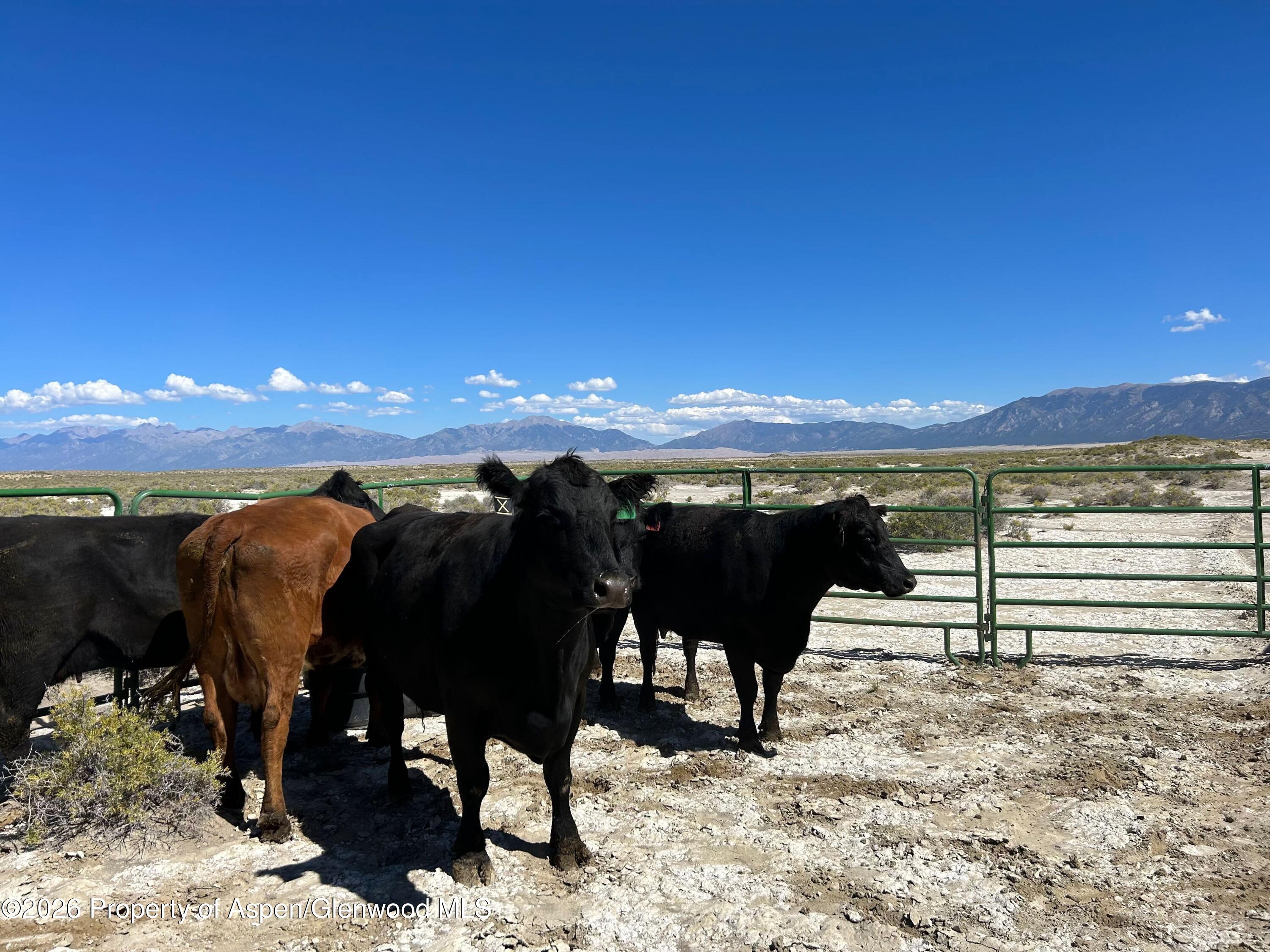 Tbd Alamosa County Parcel #5139301 Property Photo 3