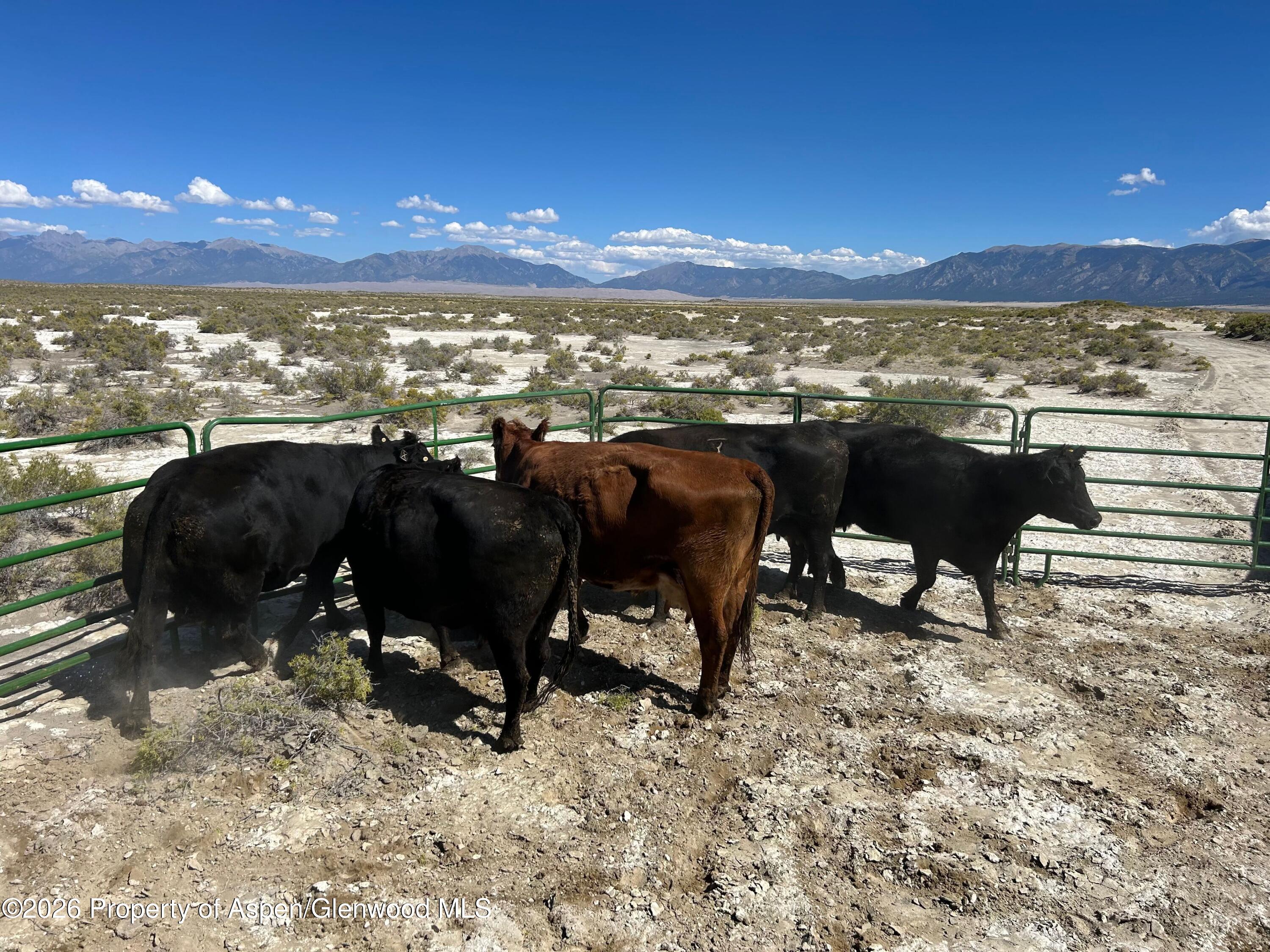 Tbd Alamosa County Parcel #5139301 Property Photo 4
