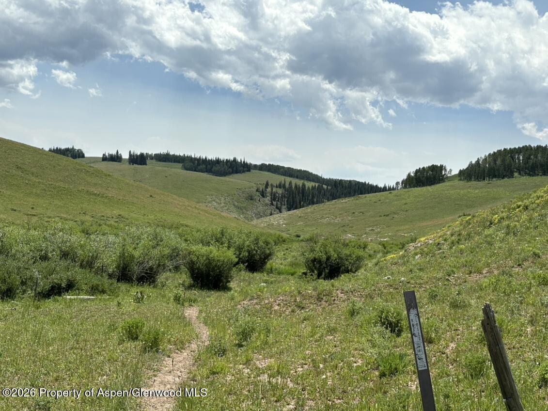 Tbd Alamosa County Parcel #5139301 Property Photo 6