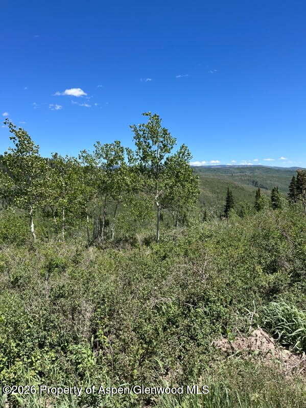 Tbd Alamosa County Parcel #5139301 Property Photo 7