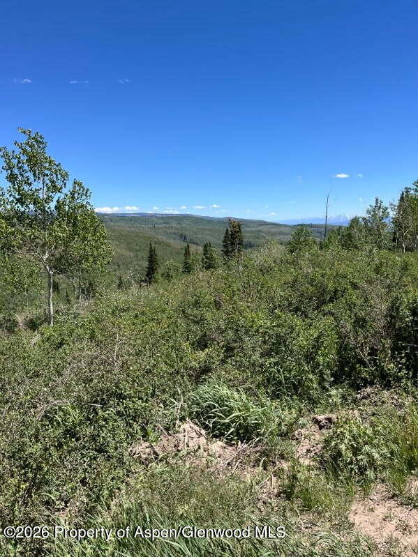 Tbd Alamosa County Parcel #5139301 Property Photo 8