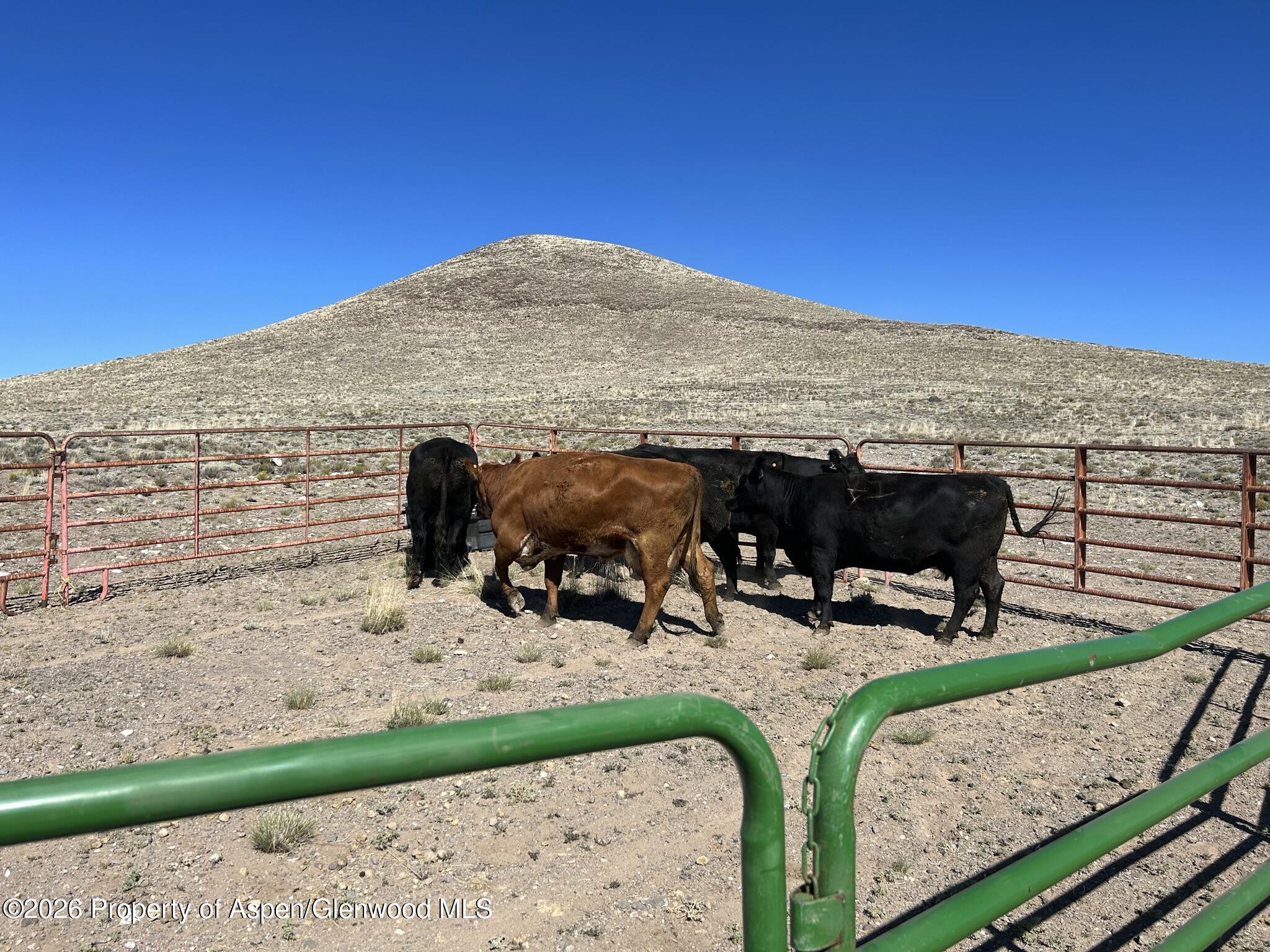 Tbd Costilla County Parcel #400022