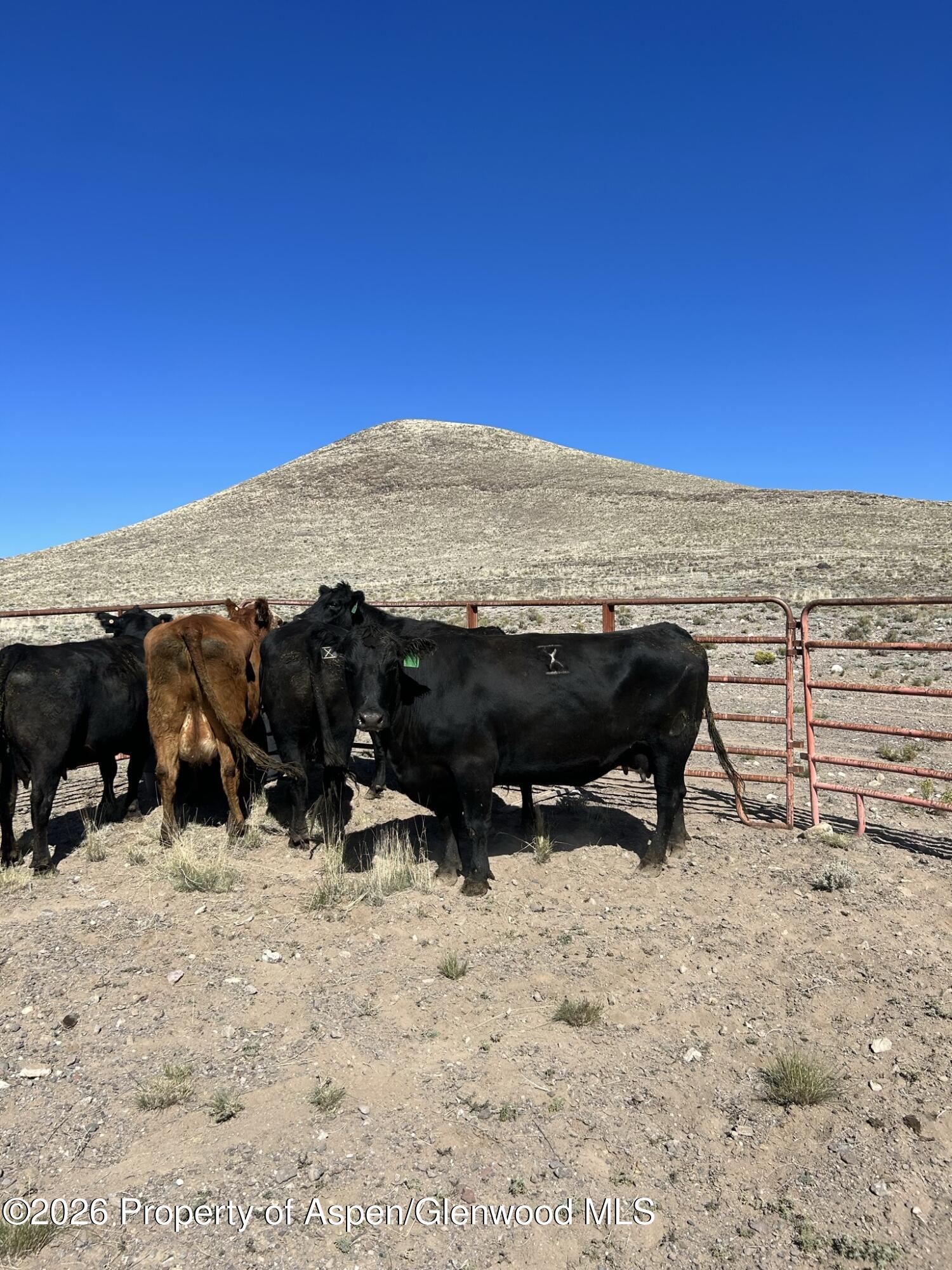 Tbd Costilla County Parcel #400022 Property Photo 3