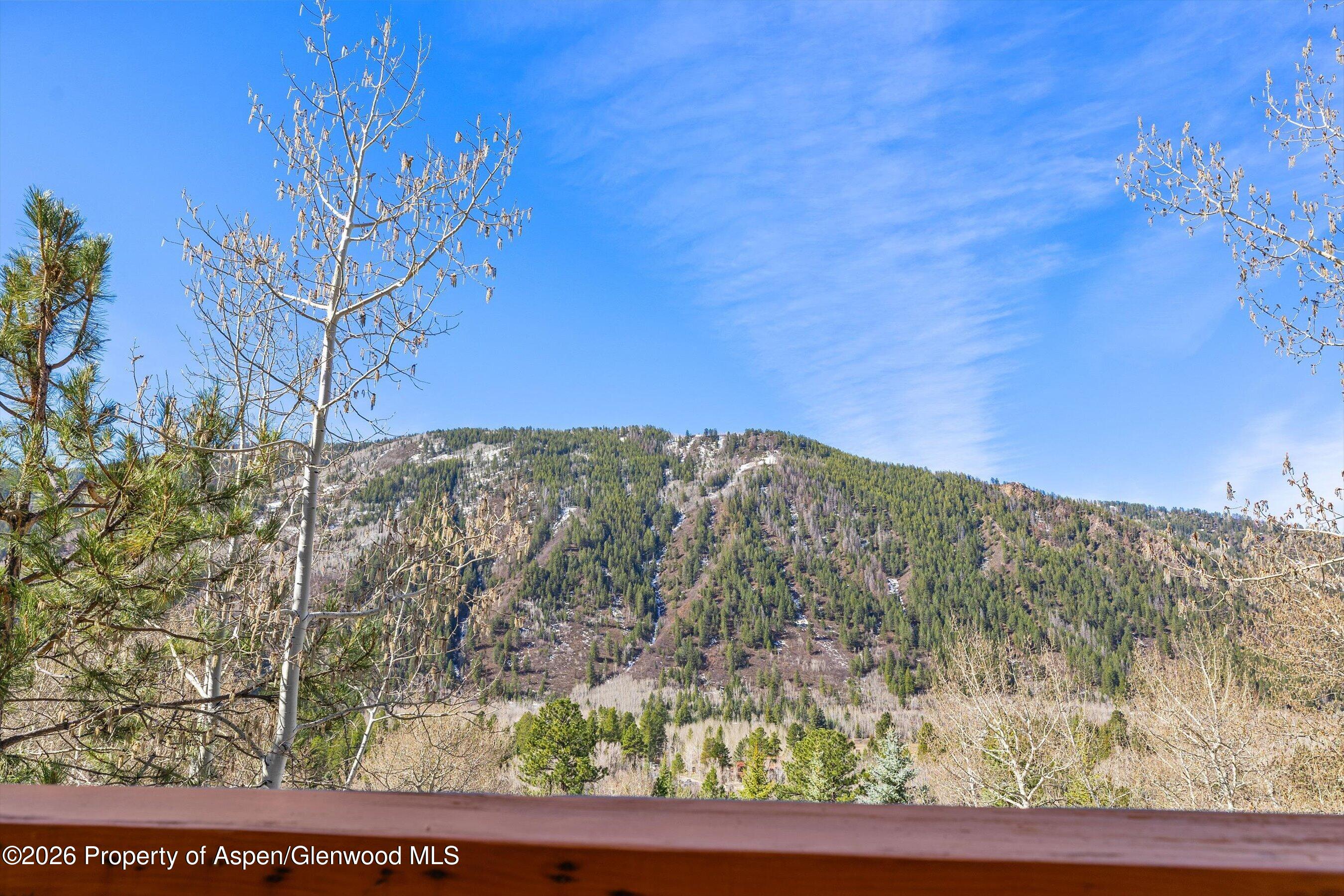 250 Mountain Laurel Drive A Property Photo 17