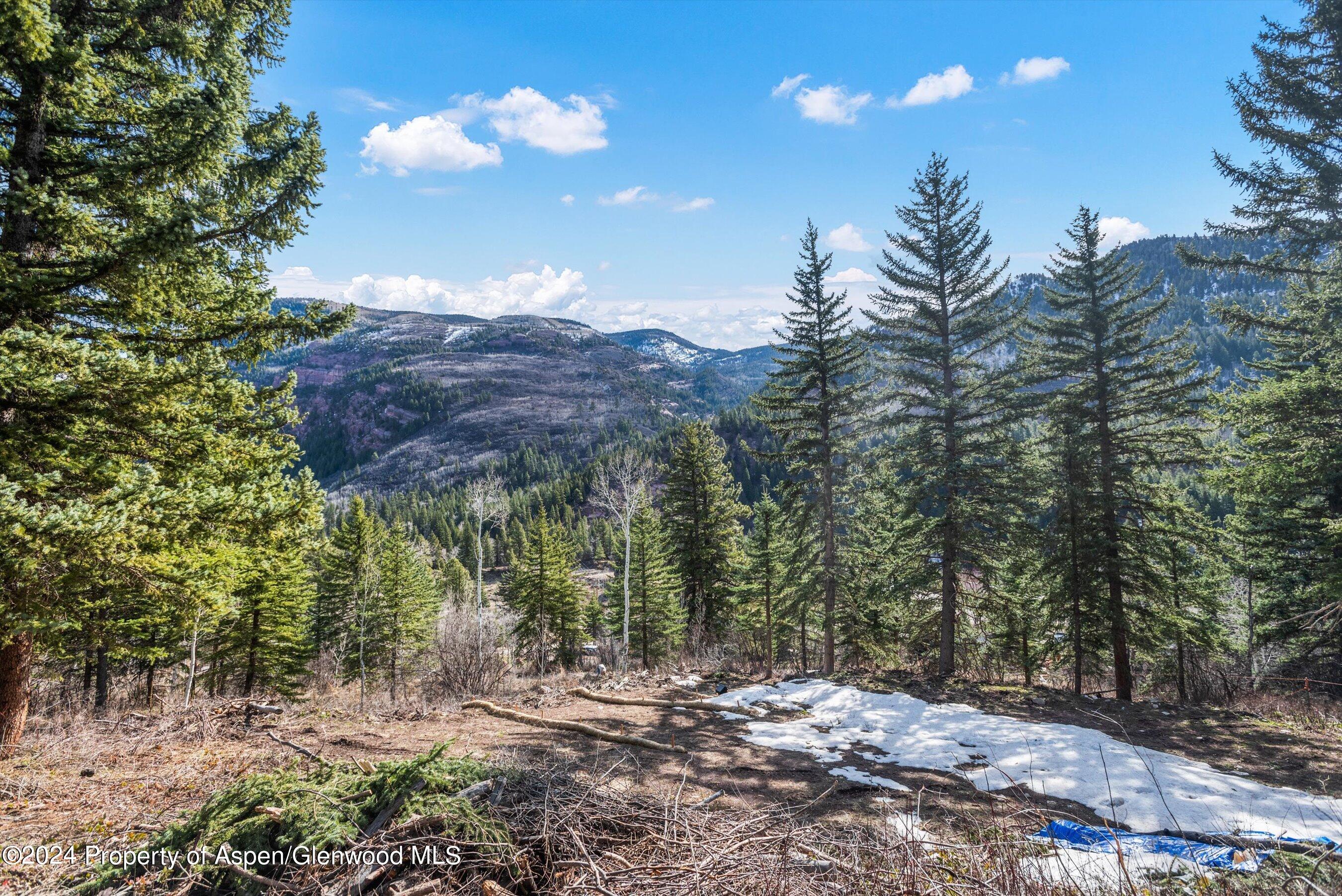 Tbd Elk Mountain Dr Drive Property Photo 6