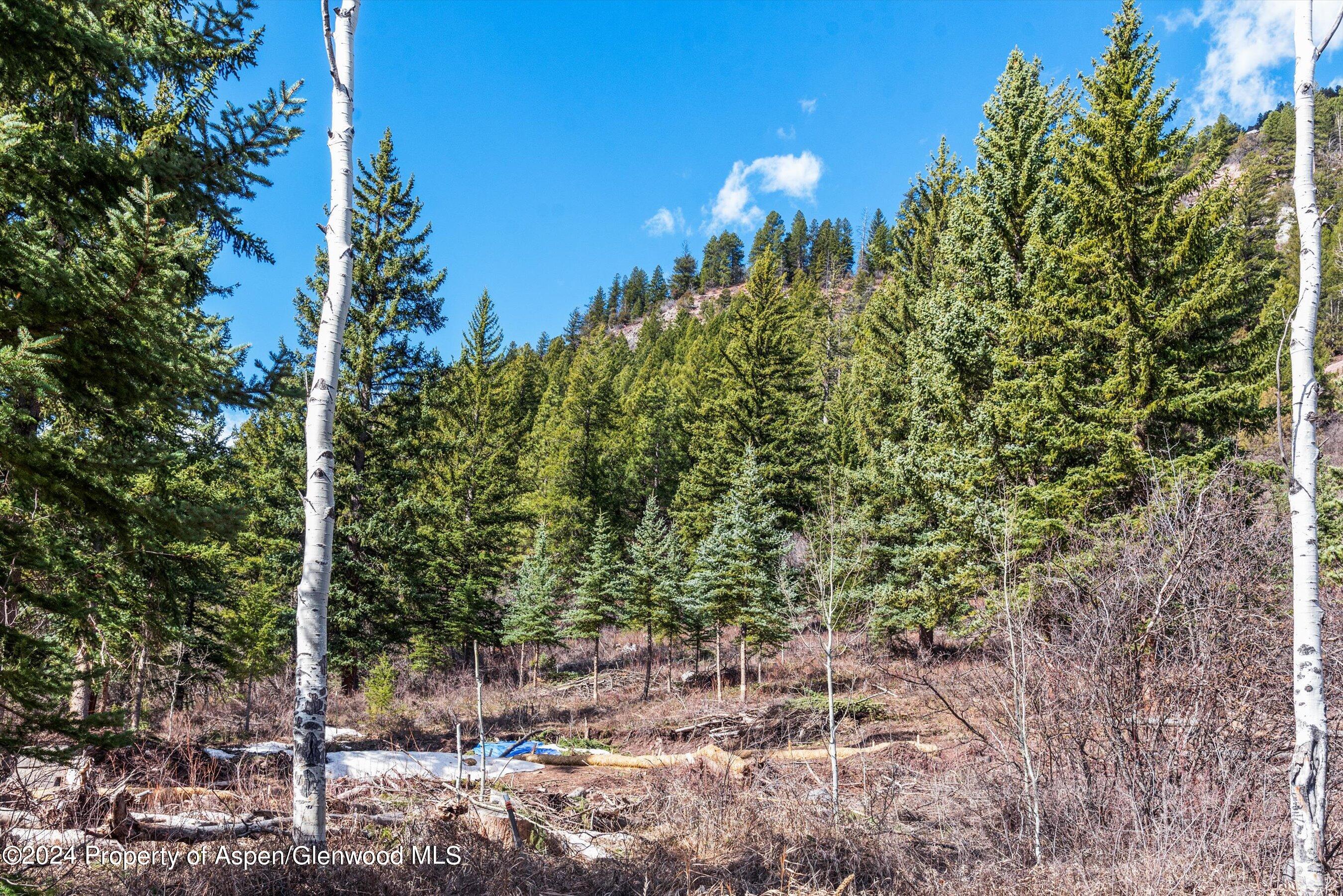 Tbd Elk Mountain Dr Drive Property Photo 9