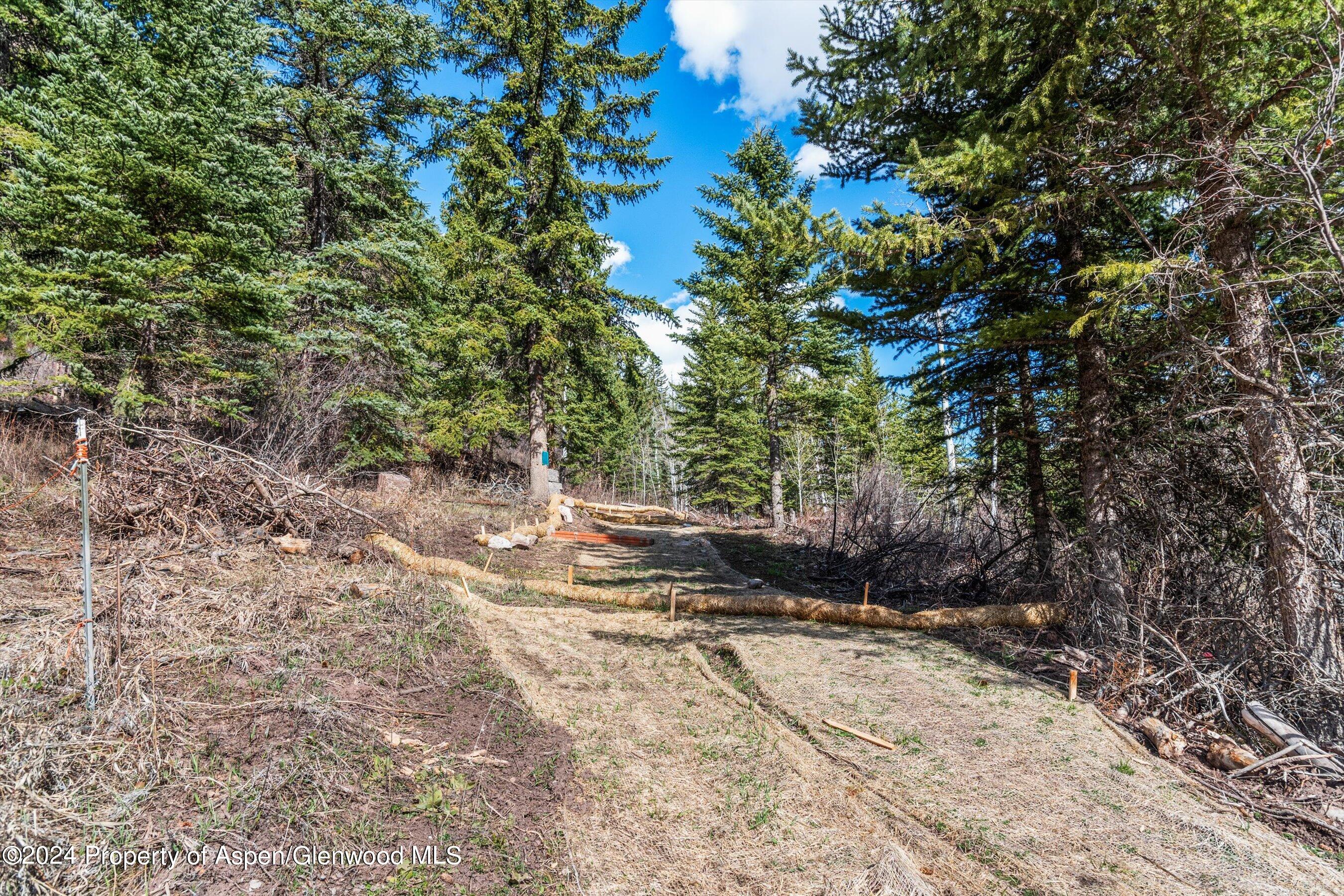 Tbd Elk Mountain Dr Drive Property Photo 10