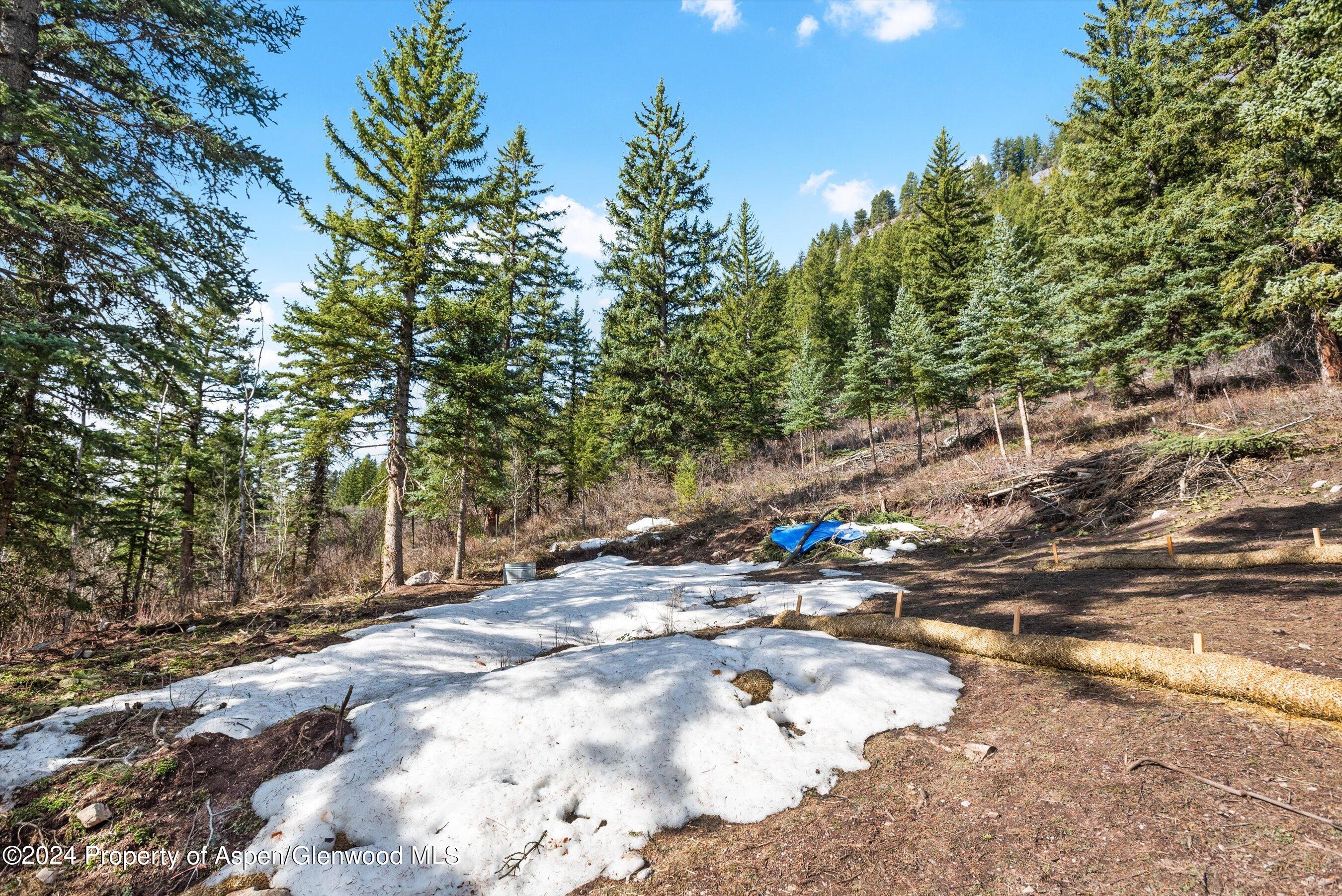 Tbd Elk Mountain Dr Drive Property Photo 20