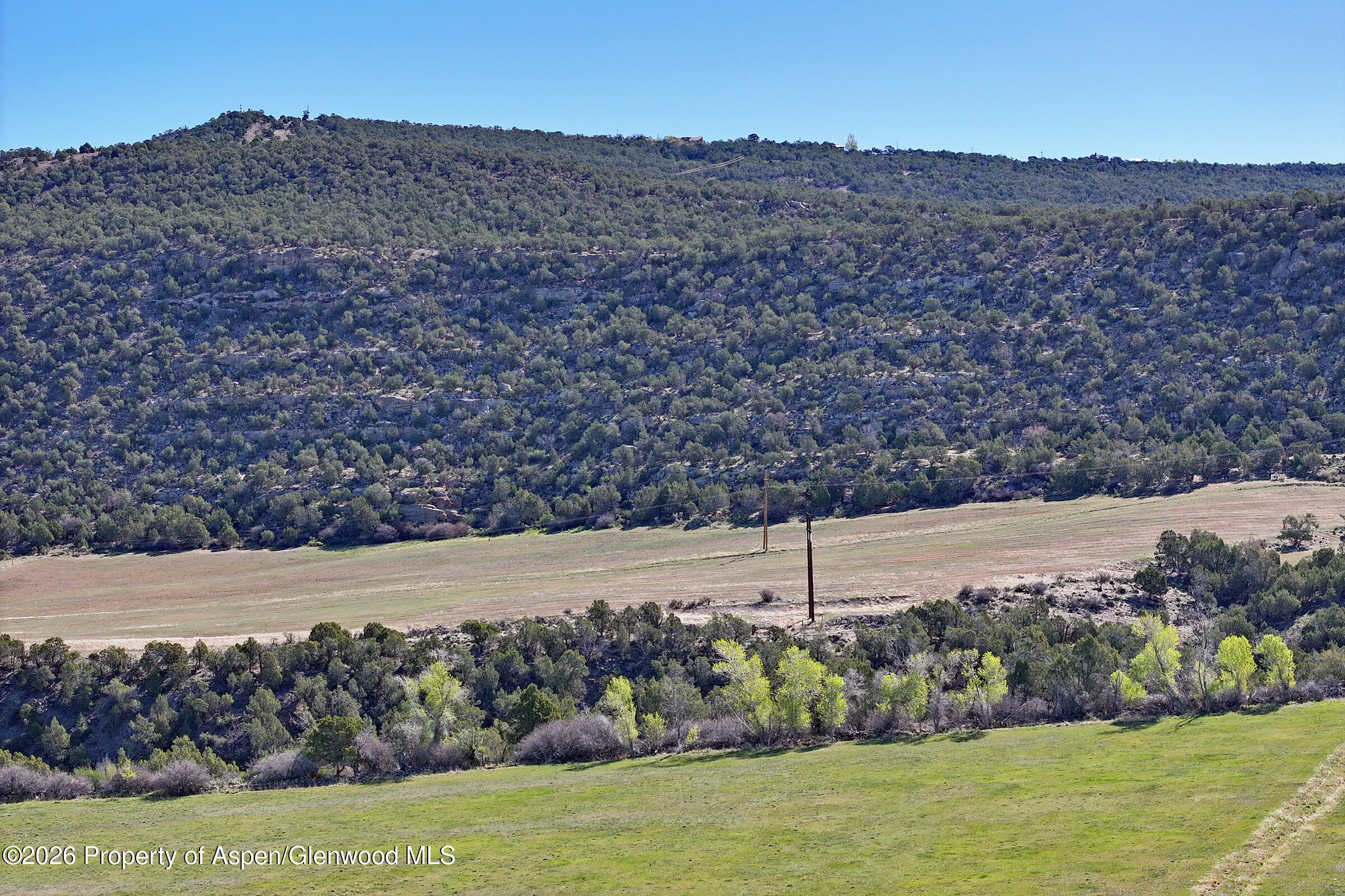 12482 54 7/10 Road Property Photo 11