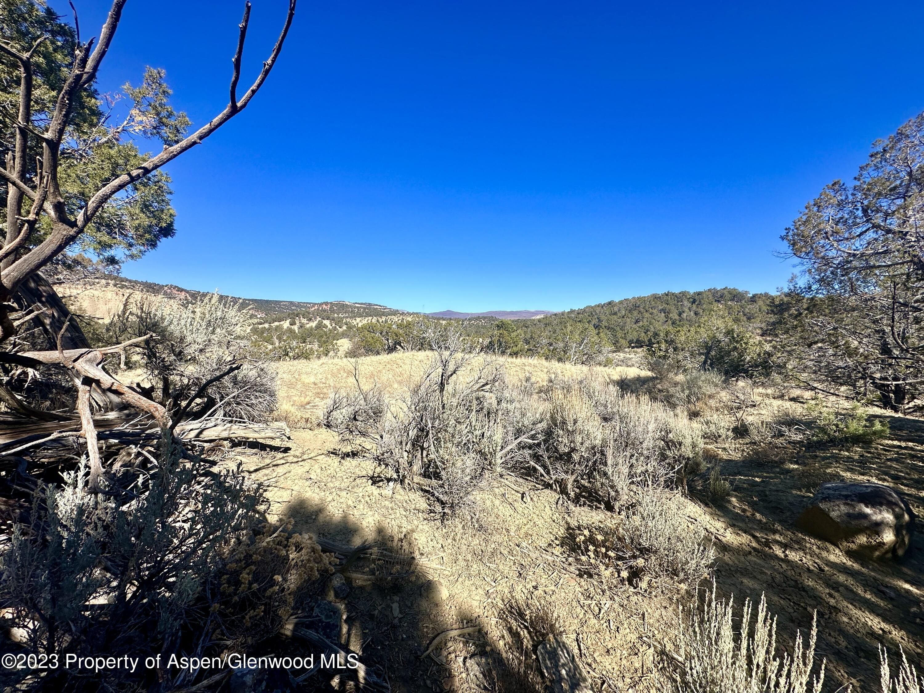 Tbd Cactus Park Road Property Photo 1