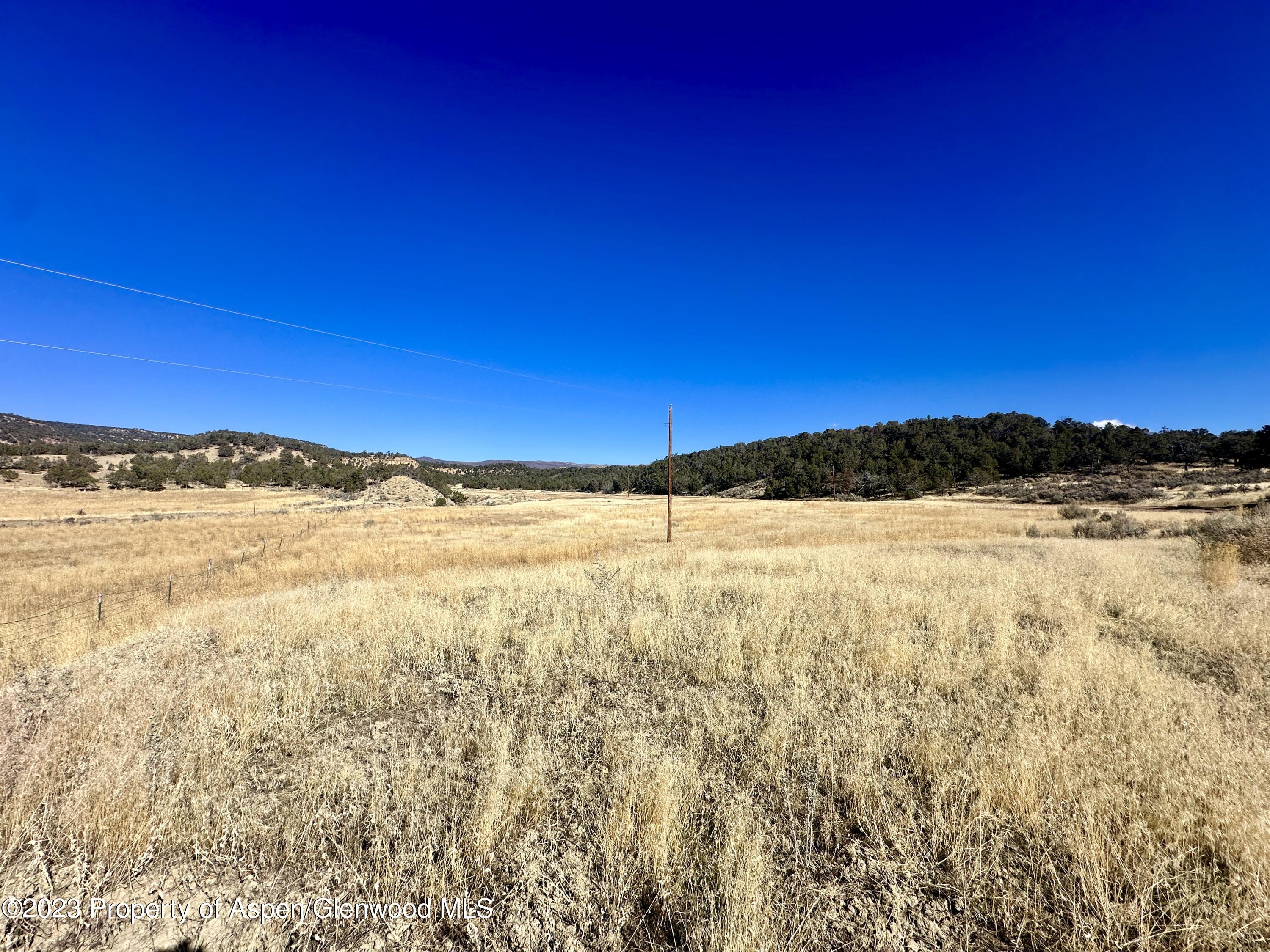Tbd Cactus Park Road Property Photo 3