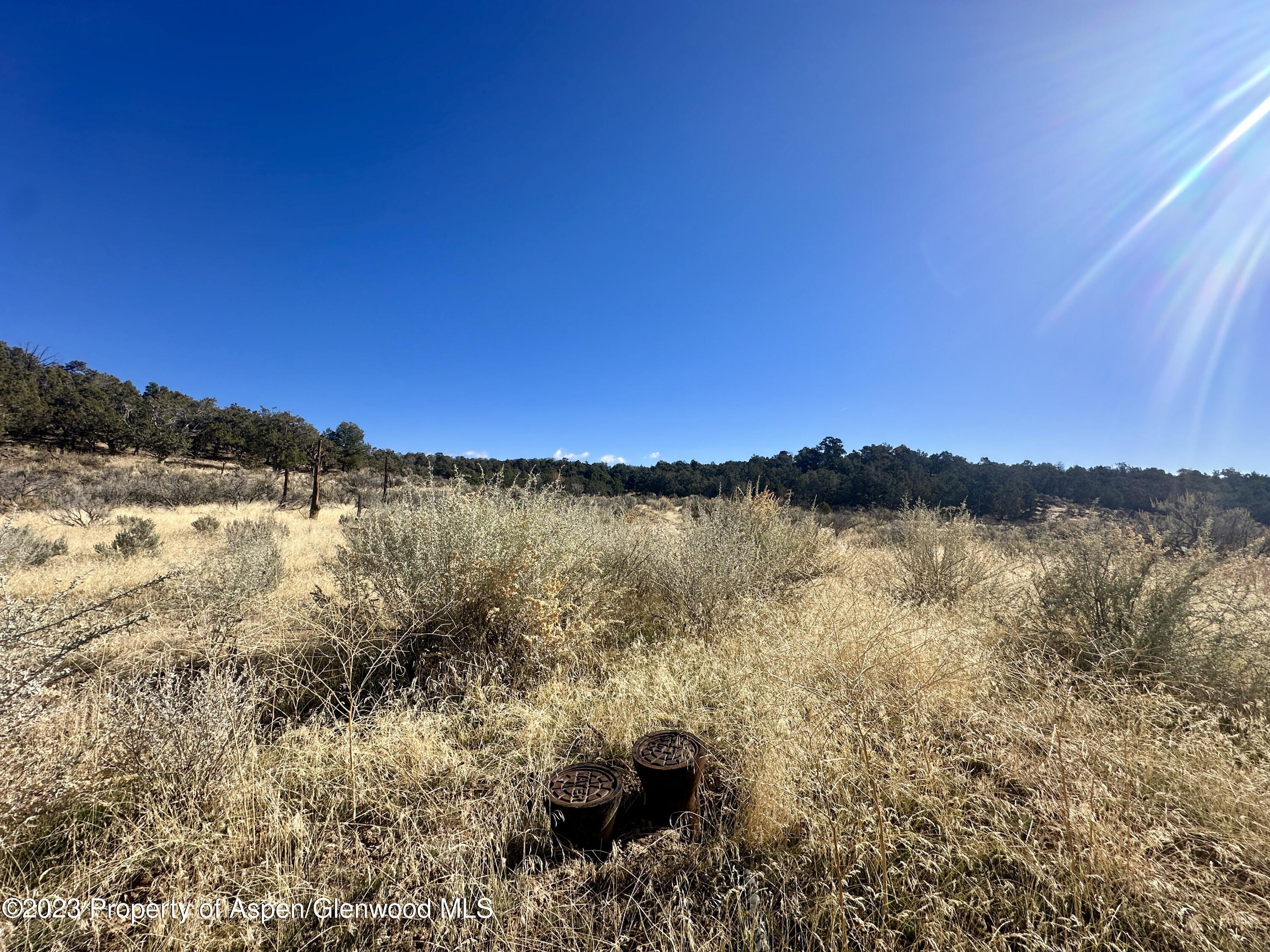 Tbd Cactus Park Road Property Photo 4