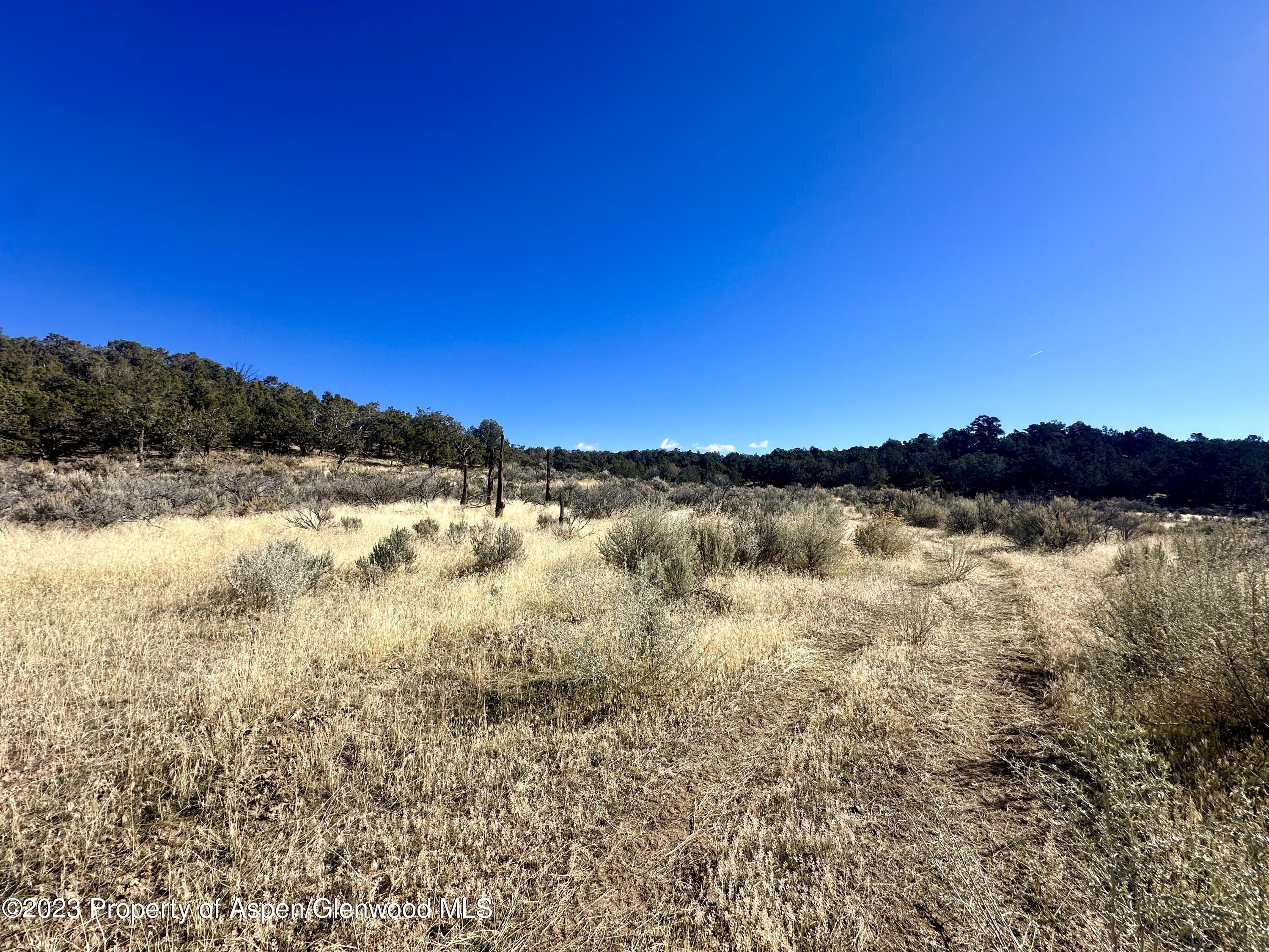 Tbd Cactus Park Road Property Photo 5