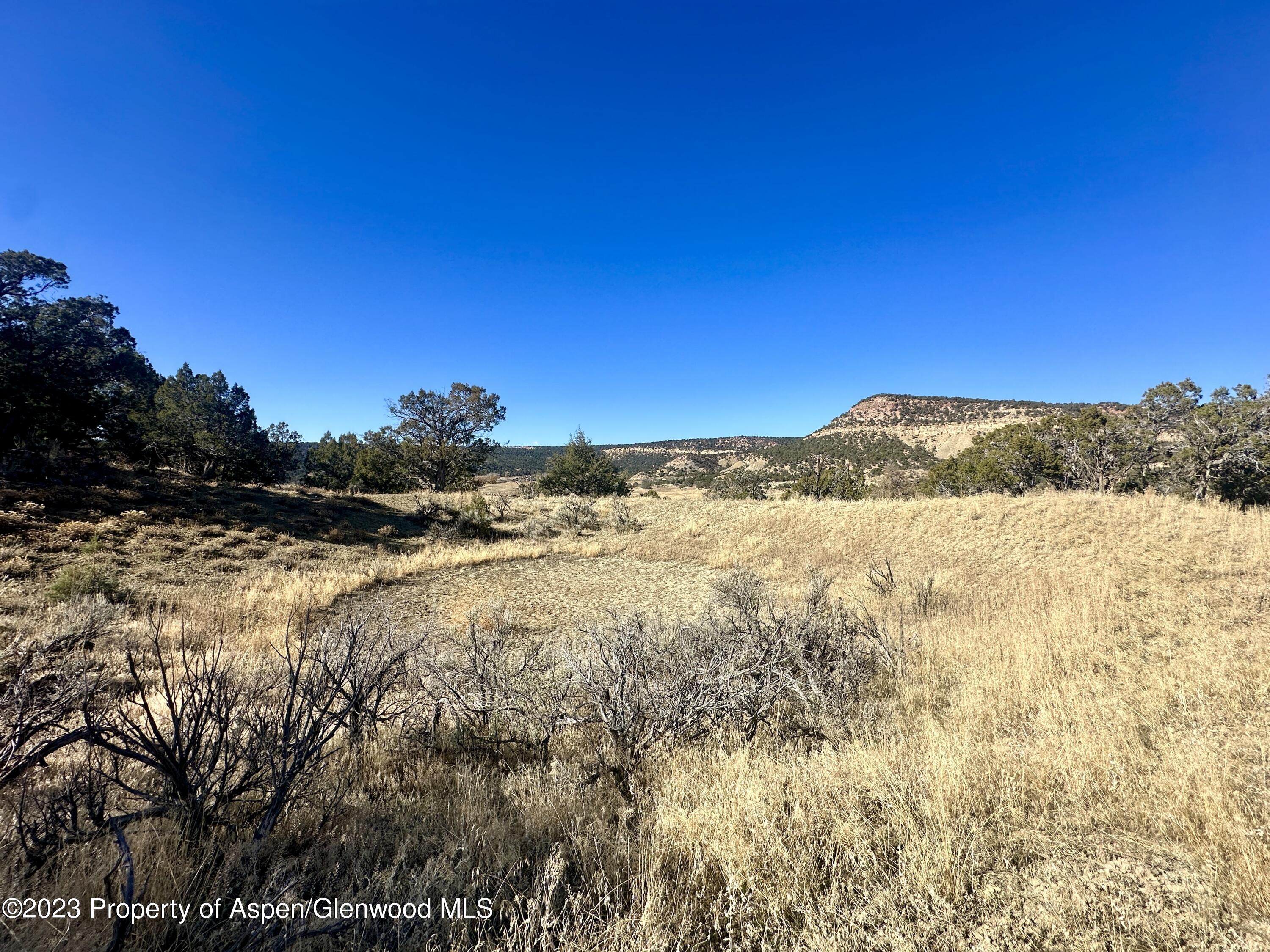 Tbd Cactus Park Road Property Photo 6