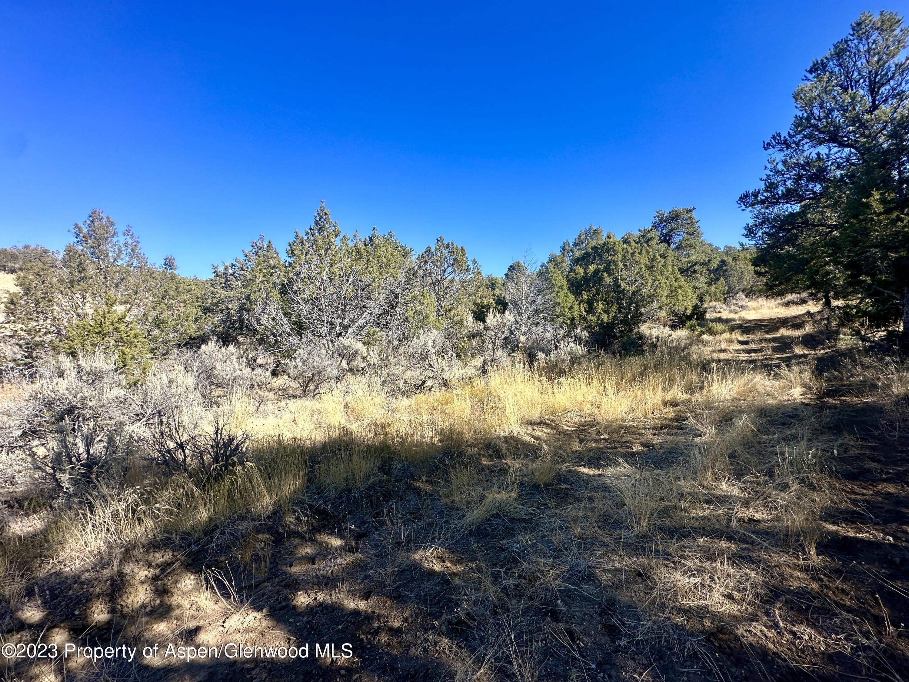 Tbd Cactus Park Road Property Photo 7